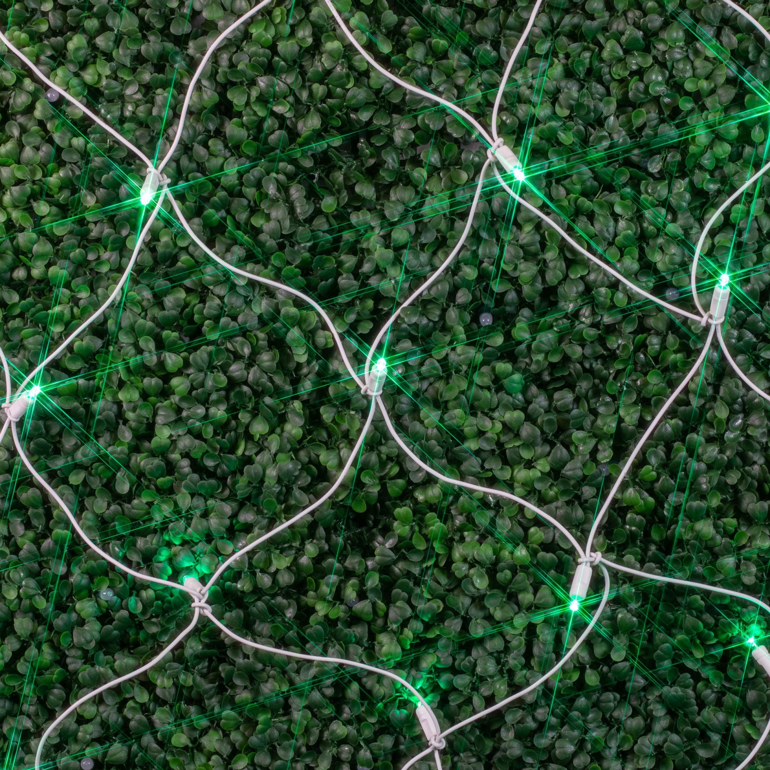 Novelty Lights 4x6 Net Lights, 100 LEDs with 4 Inch Spacing, 5mm Wide Angle Bulbs, Connectable End To End, Outdoor Weather Resistant Tree and Bush