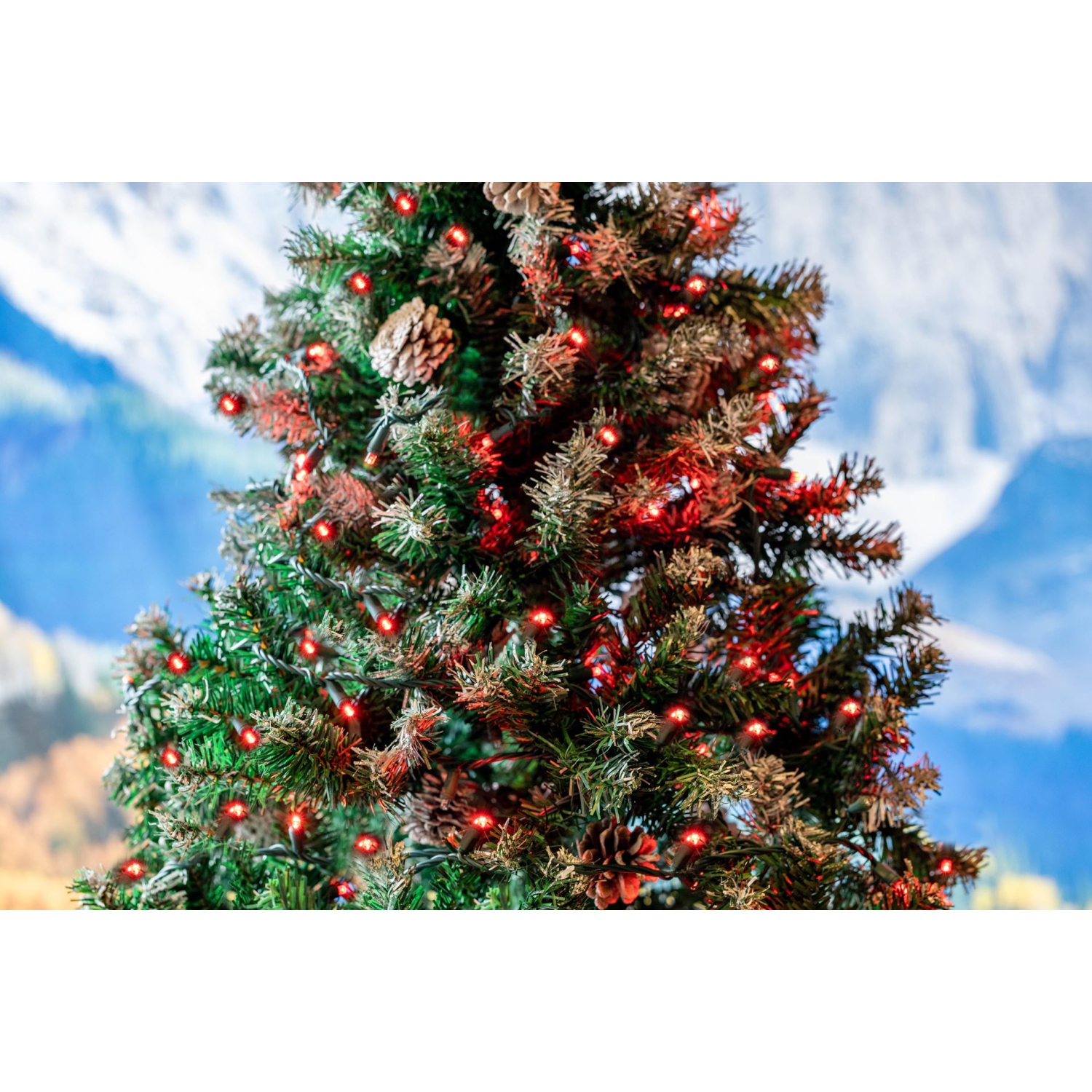 Novelty Lights 17ft 50 LED Christmas Lights Outdoor/Indoor, 4" Spacing, Green Wire String Lights for Festive Xmas Lighting, IP55, UL Listed,