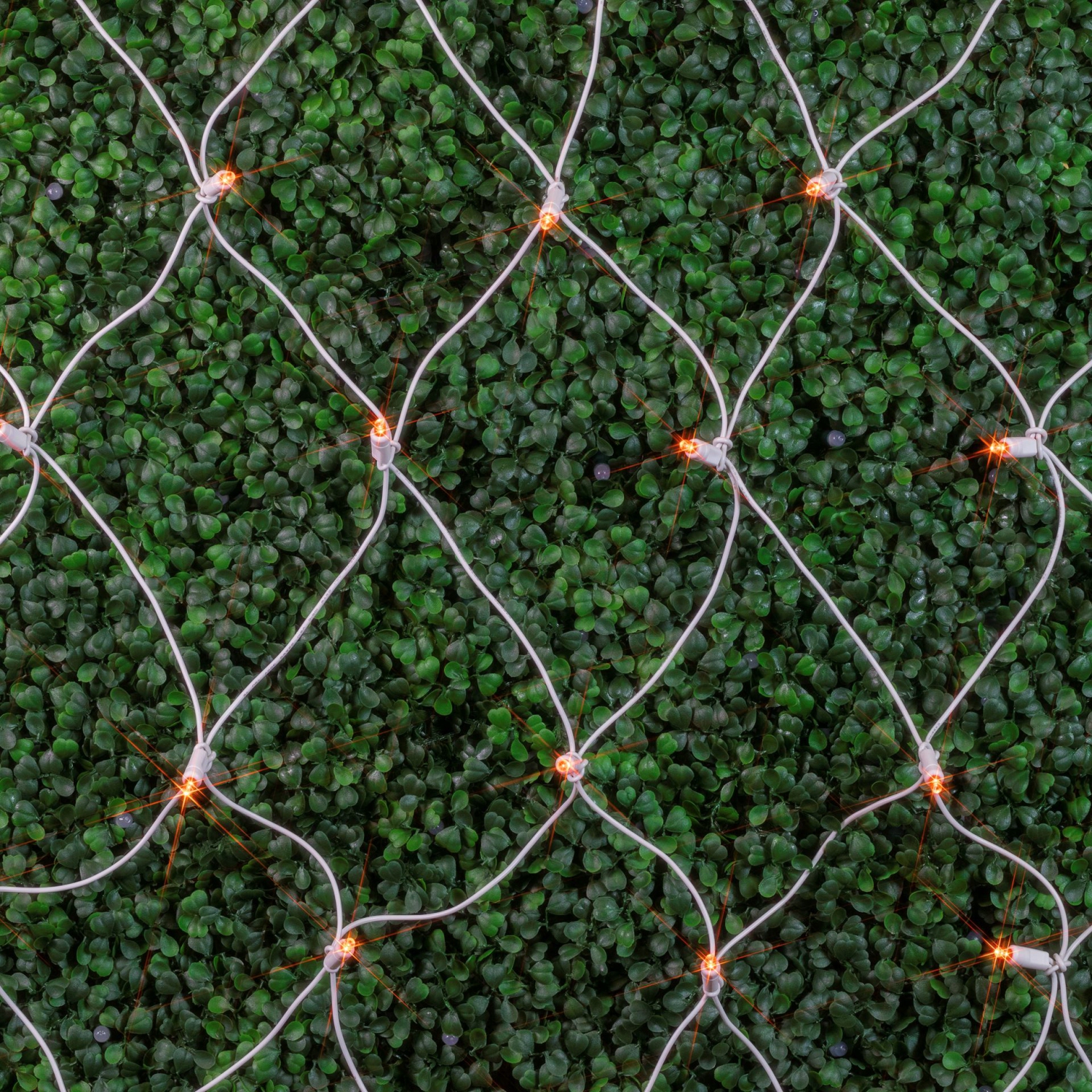 Novelty Lights 4x6 Net Lights, 100 LEDs with 4 Inch Spacing, 5mm Wide Angle Bulbs, Connectable End To End, Outdoor Weather Resistant Tree and Bush