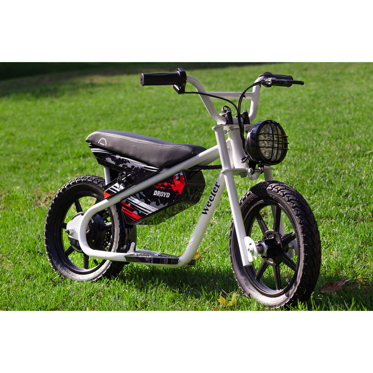 Mini bikes for 10 year olds best sale