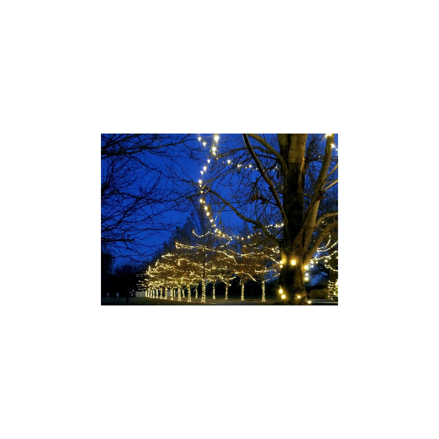 Jeu de mini lumières de Noël LED de 34 pi 100 sur fil vert, ampoules grand-angle 5&nbsp;mm, connectables, décoration intérieure/extérieure,