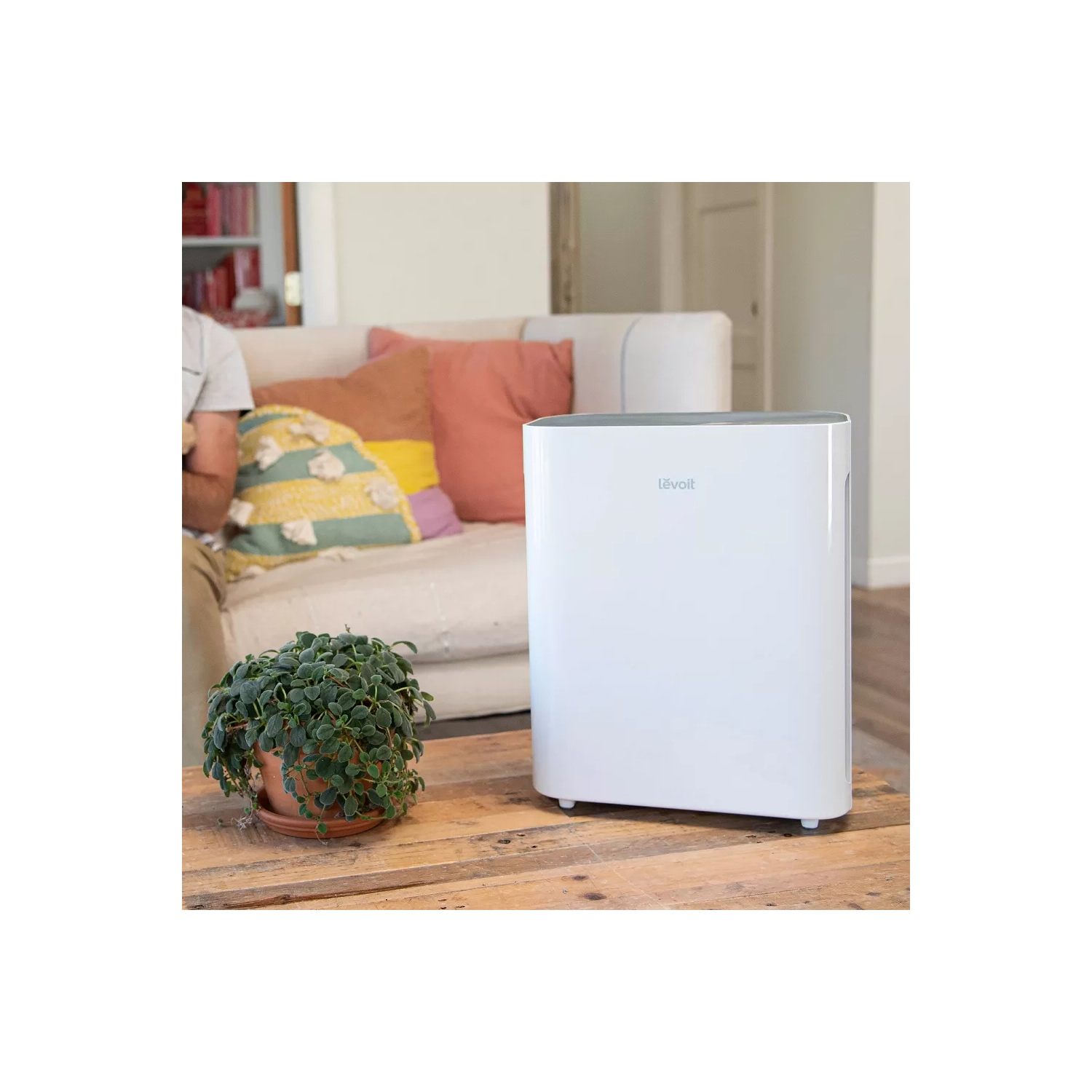 Levoit Vital 100 Plus True Hepa Air Purifier With Bonus Filter