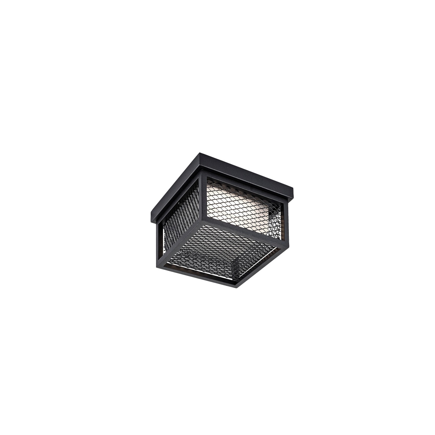 Innovation 1-Light Outdoor Flush Mount