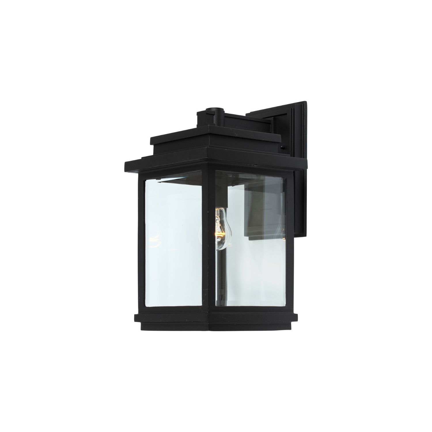 Freemont 1-Light Outdoor Wall Light