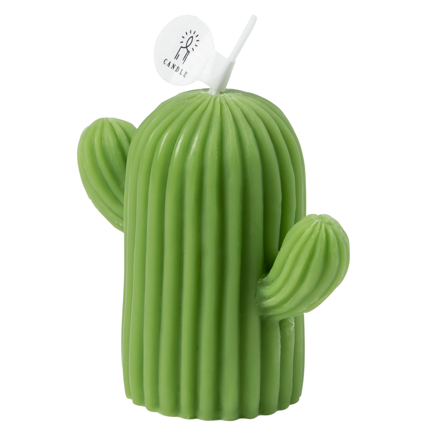 Cactus Shaped Scented Candle with Sage and Sea Salt Fragrance