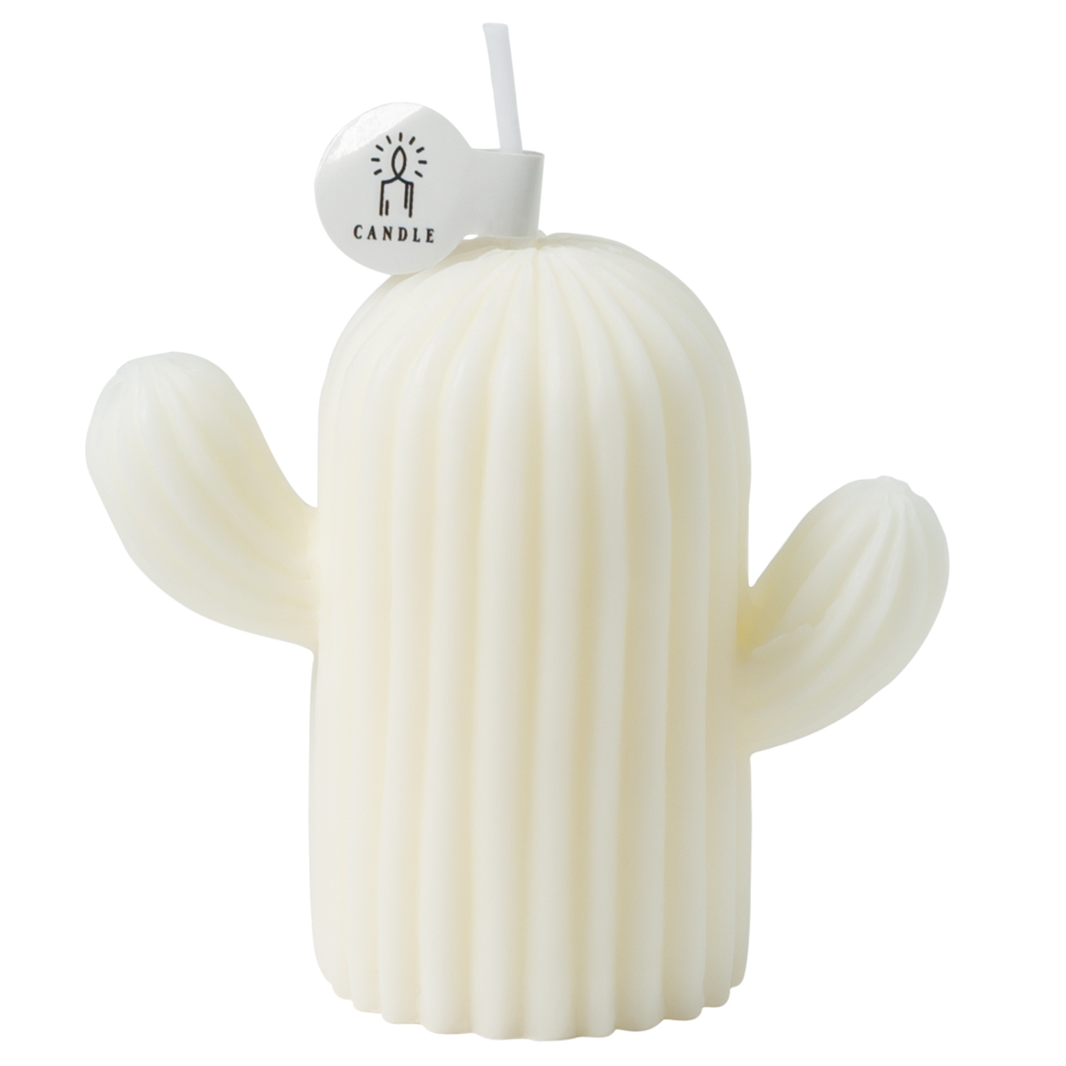 Cactus Shaped Scented Candle with Sage and Sea Salt Fragrance