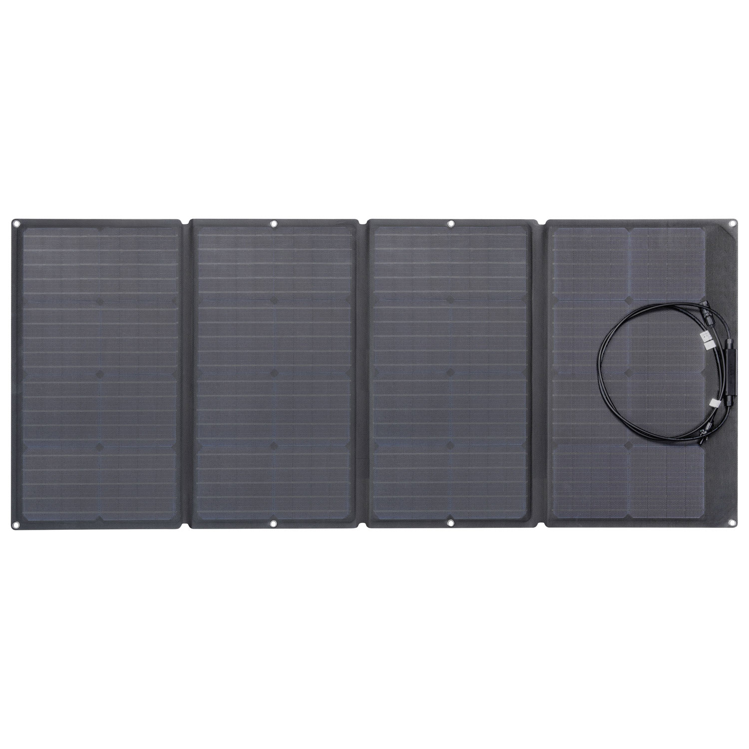 Panneau solaire portatif EcoFlow - 160 watts