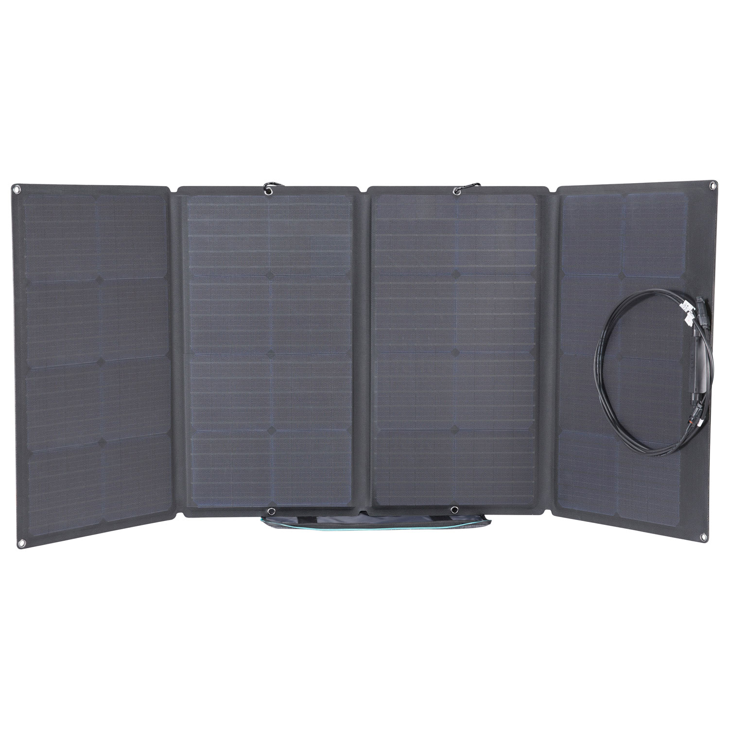 Panneau solaire portatif EcoFlow - 160 watts