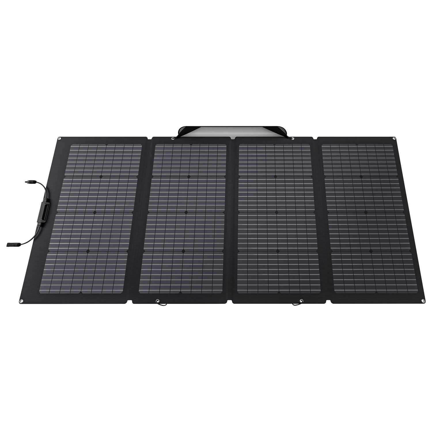Panneau solaire portatif biface d'EcoFlow - 220 W