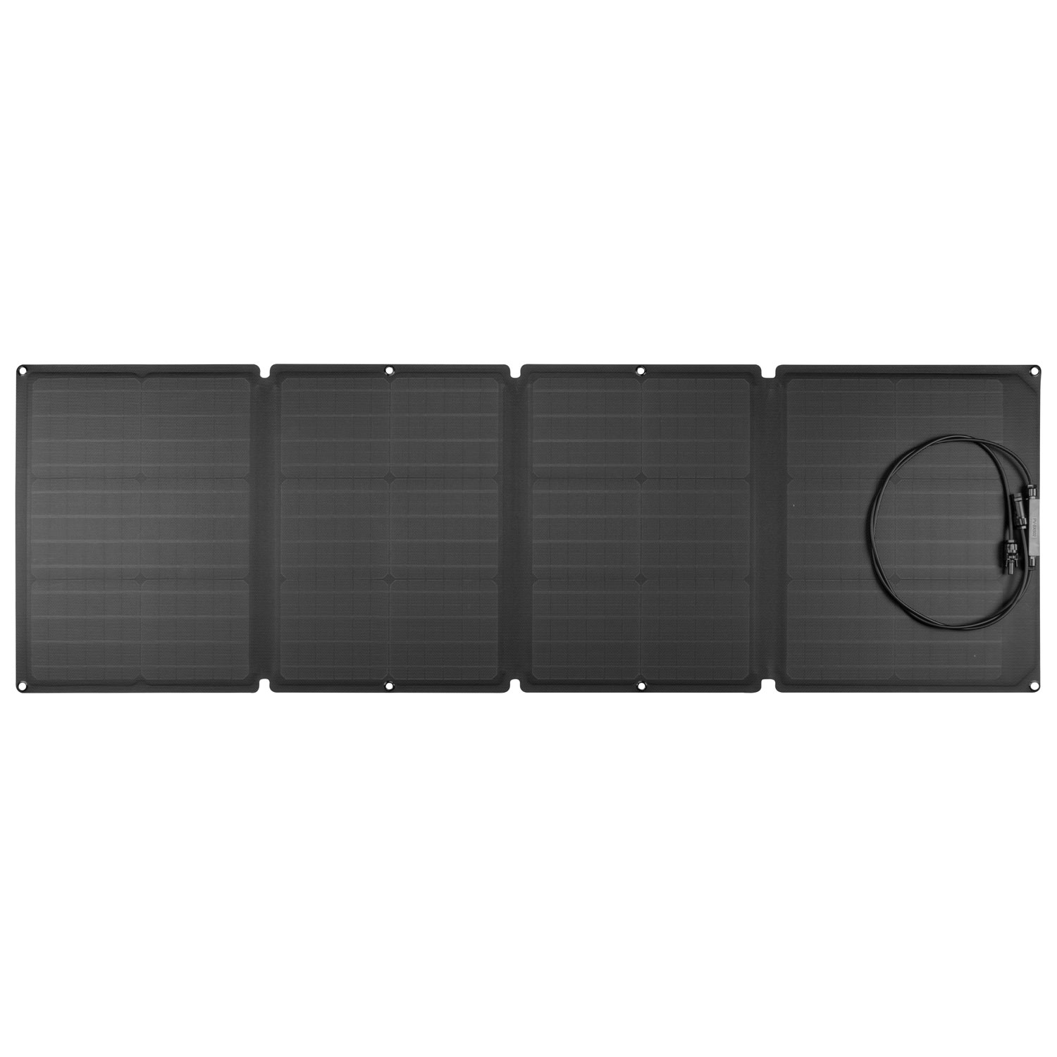 Panneau solaire portatif d'EcoFlow - 110 W