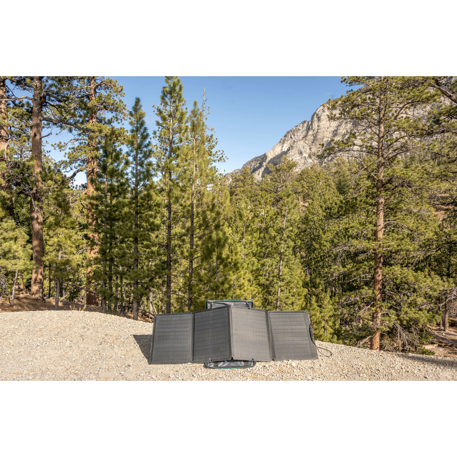 Panneau solaire portatif d'EcoFlow - 110 W