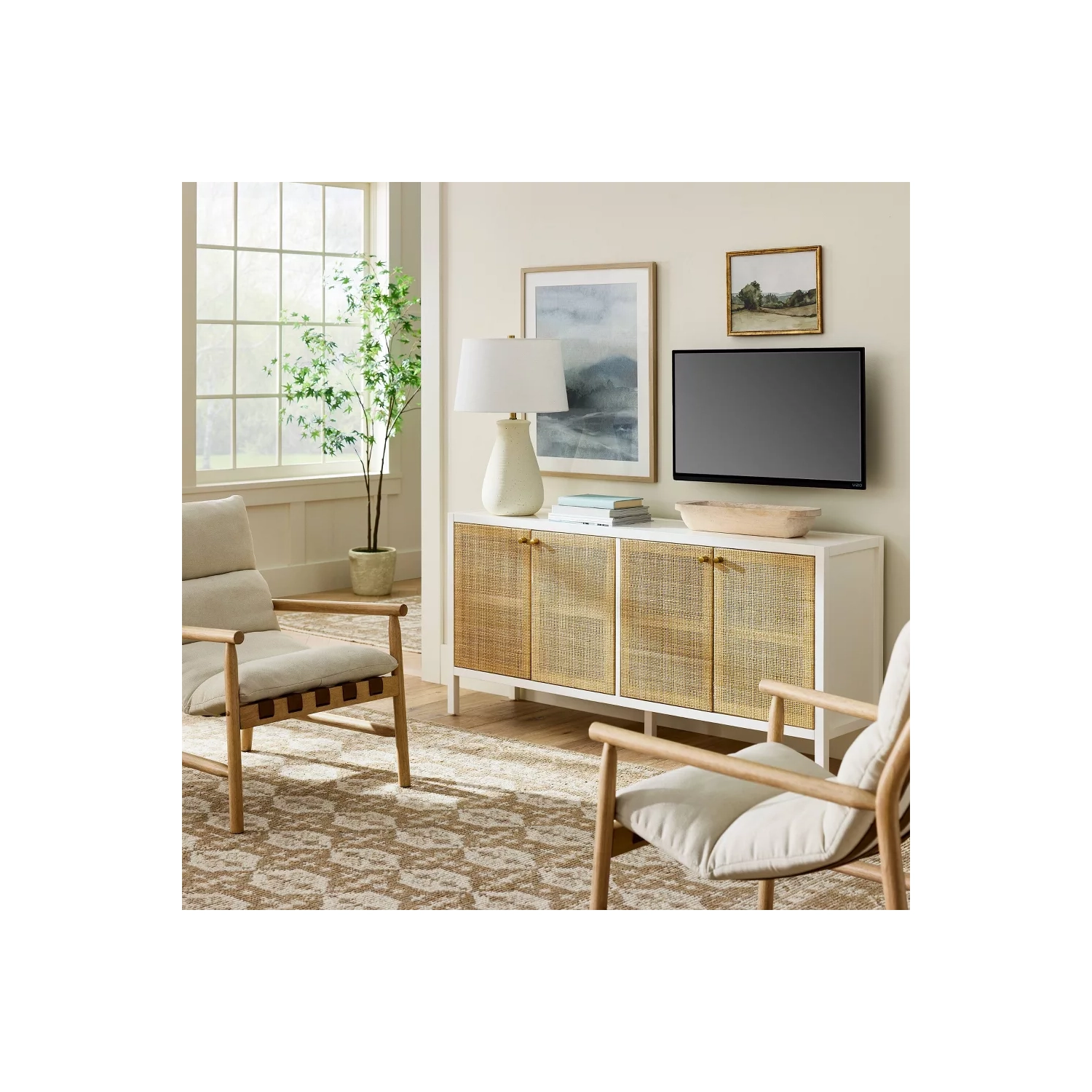 Springville Caned Door TV Stand