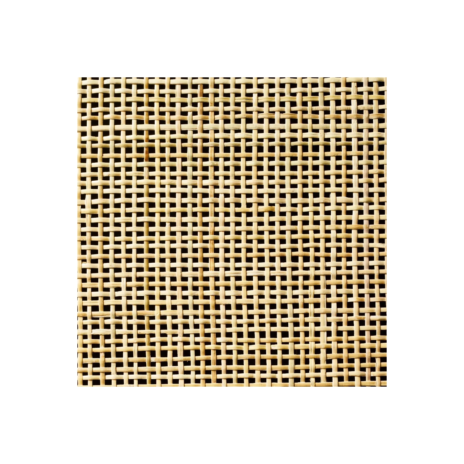 Springville Caned Door TV Stand