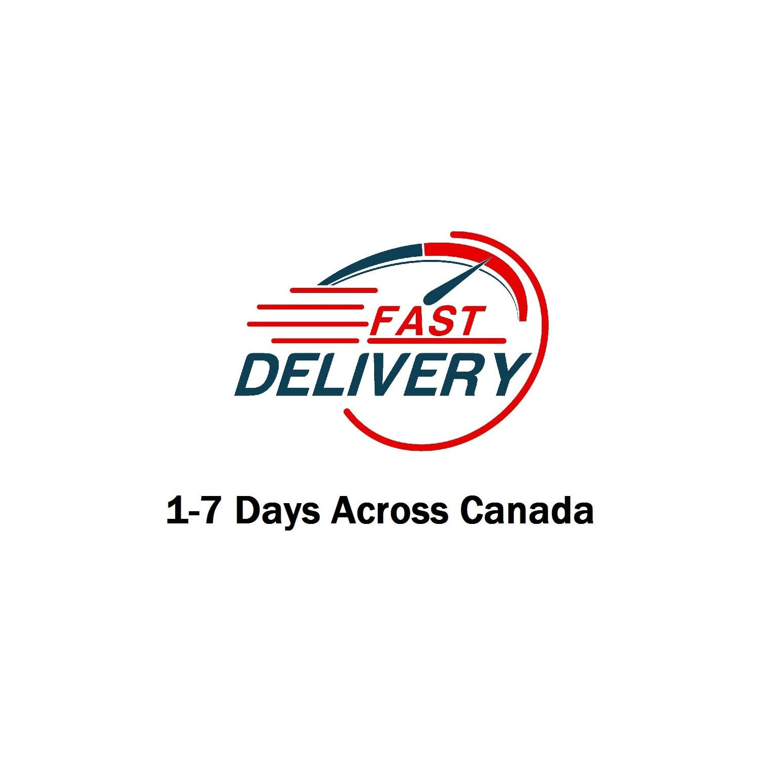 Pompe à carburant/huile/eau électrique ProAuto