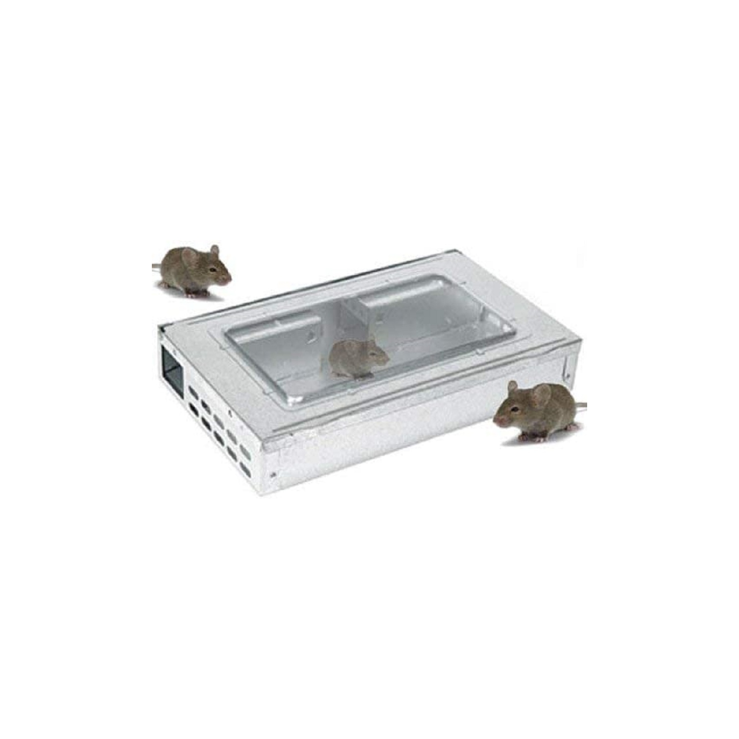 Piège à souris multiple en métal – Vivez en moins de 10 souris!