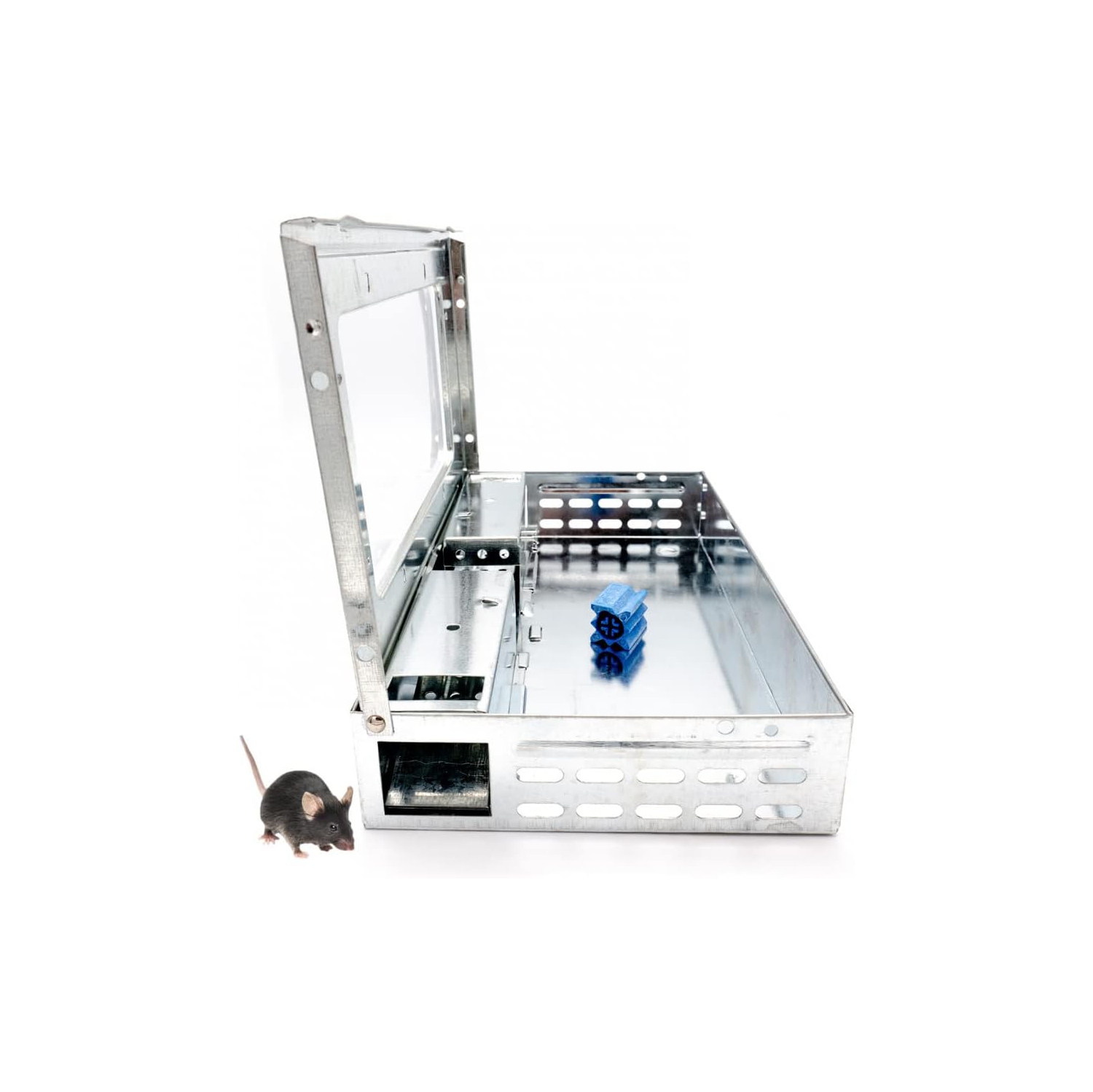 Piège à souris multiple en métal – Vivez en moins de 10 souris!