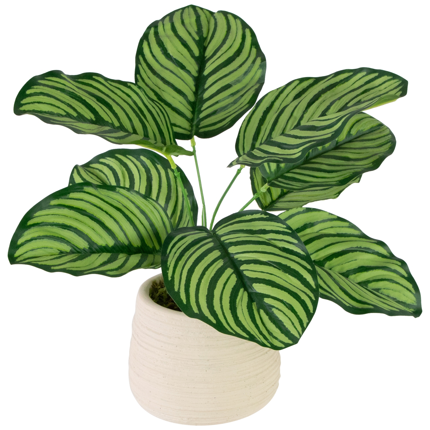 13" Artificial Prayer Plant in Beige Ceramic Pot