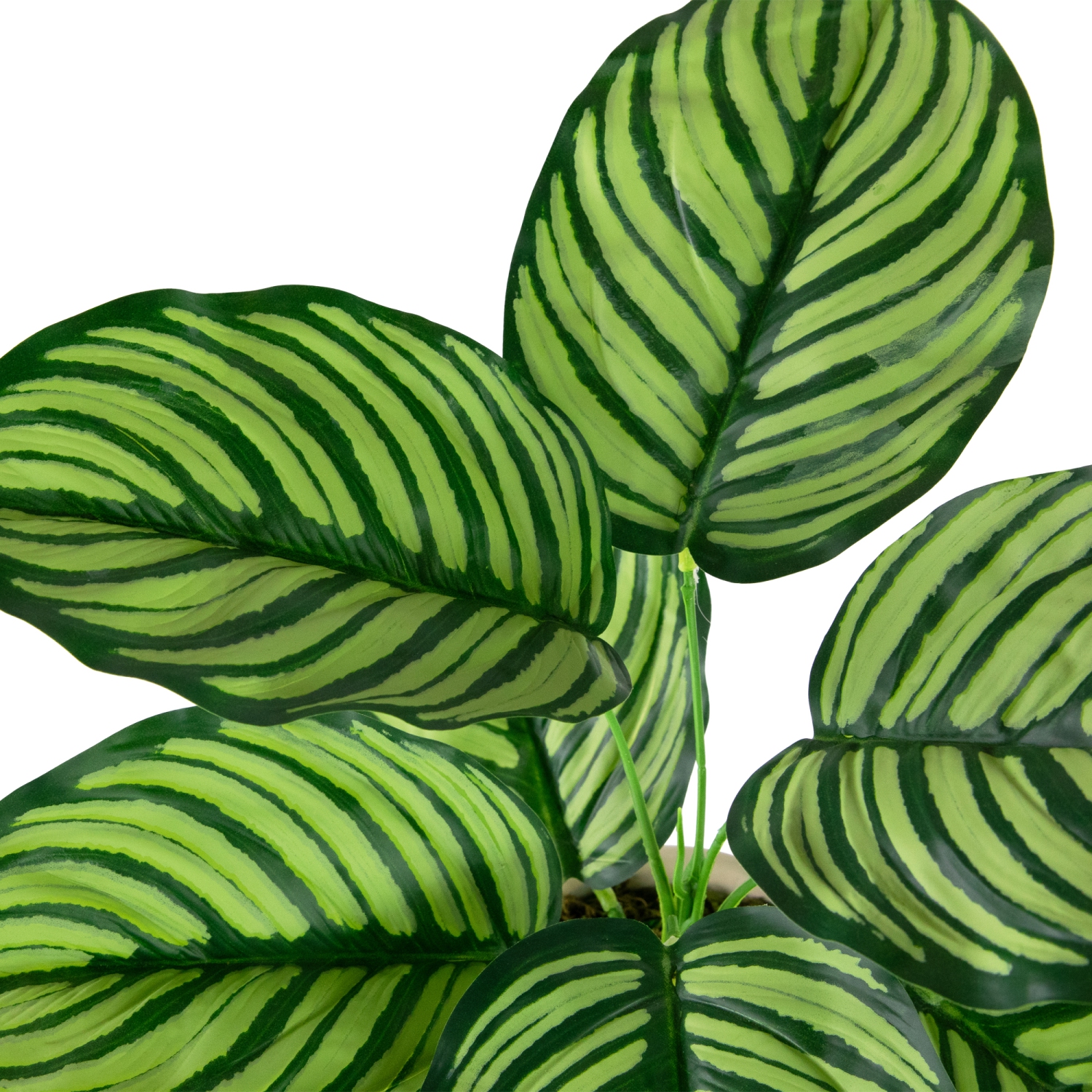 13" Artificial Prayer Plant in Beige Ceramic Pot