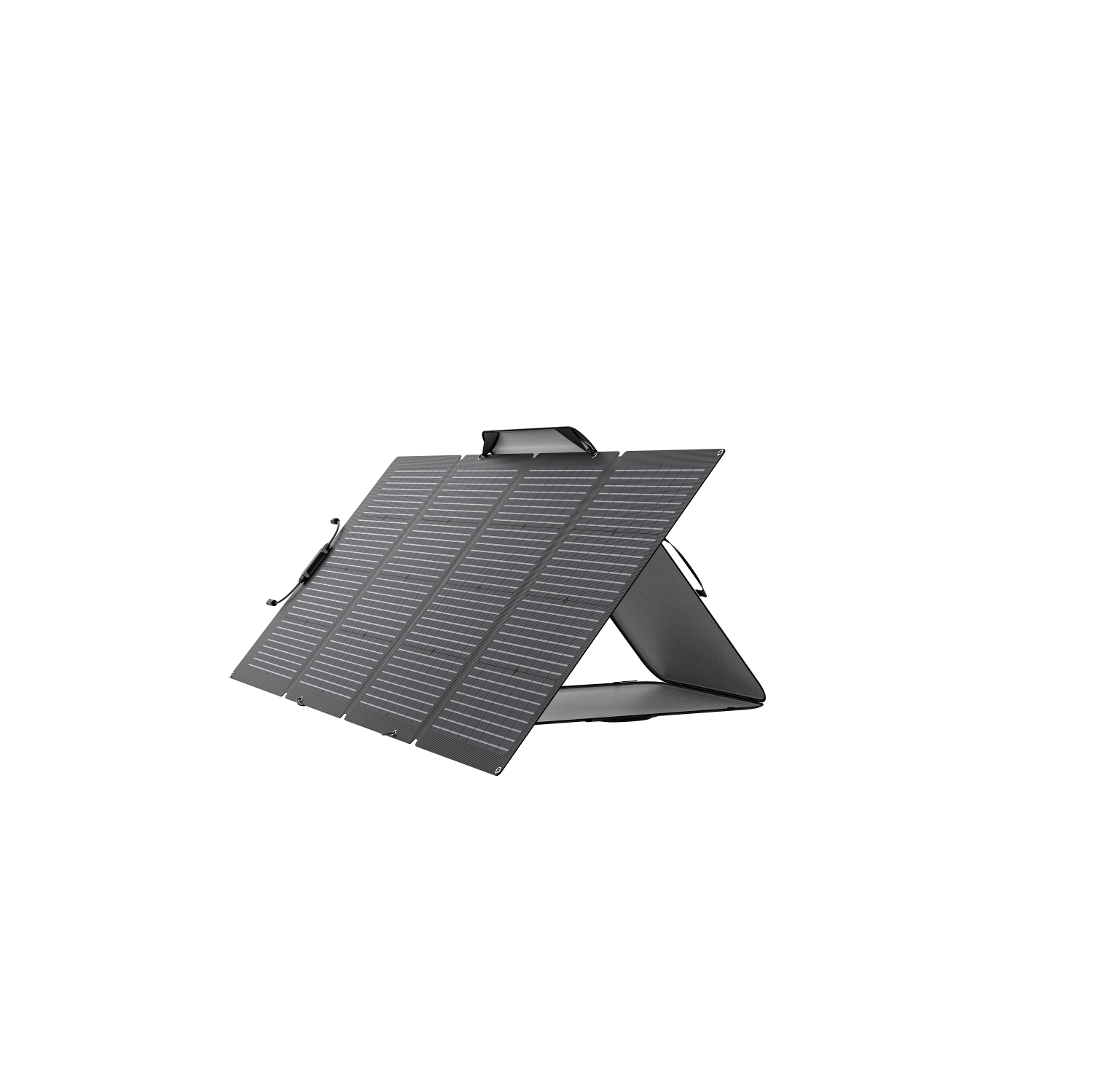 Panneau solaire portatif bifacial 220&nbsp;W d'EcoFlow