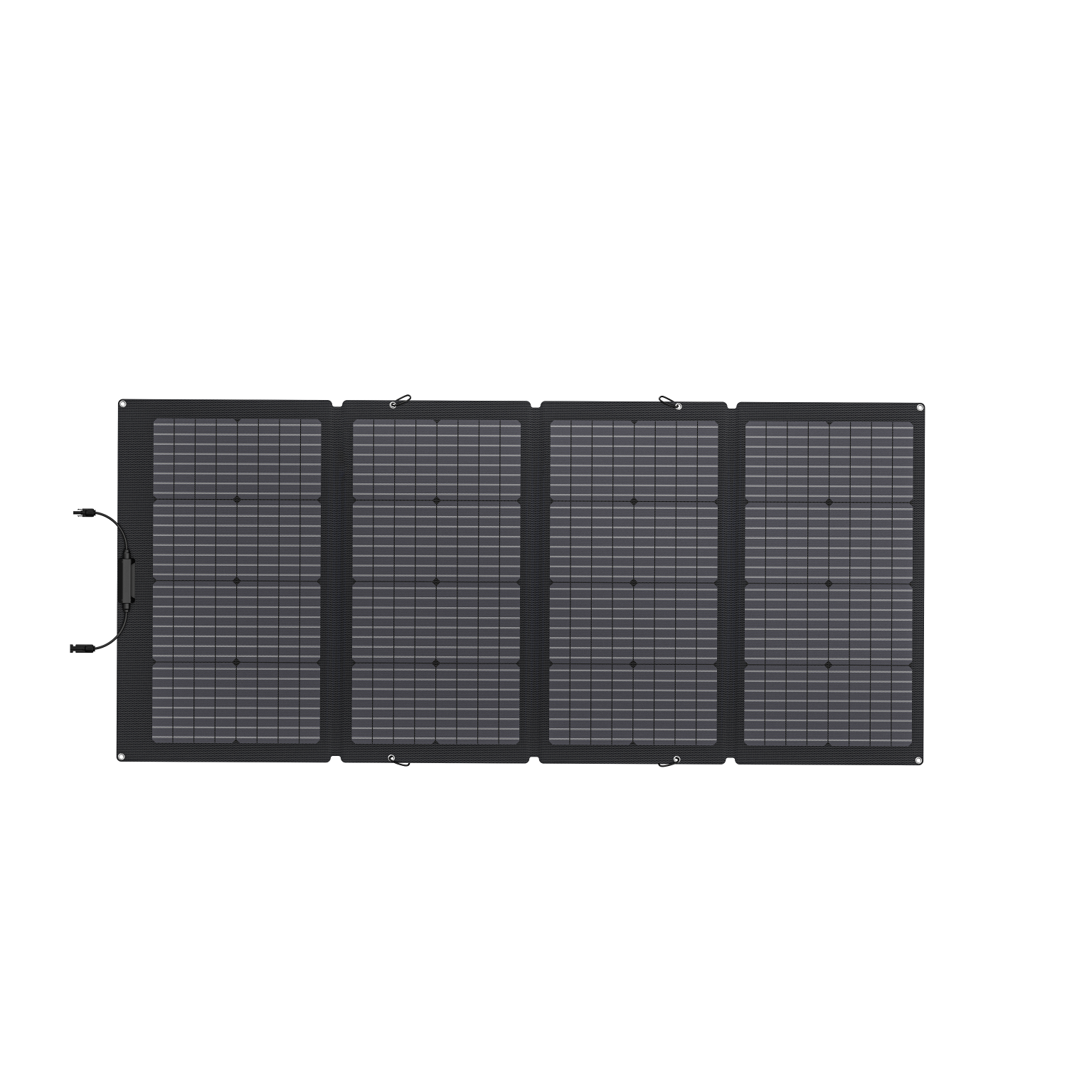 Panneau solaire portatif bifacial 220&nbsp;W d'EcoFlow