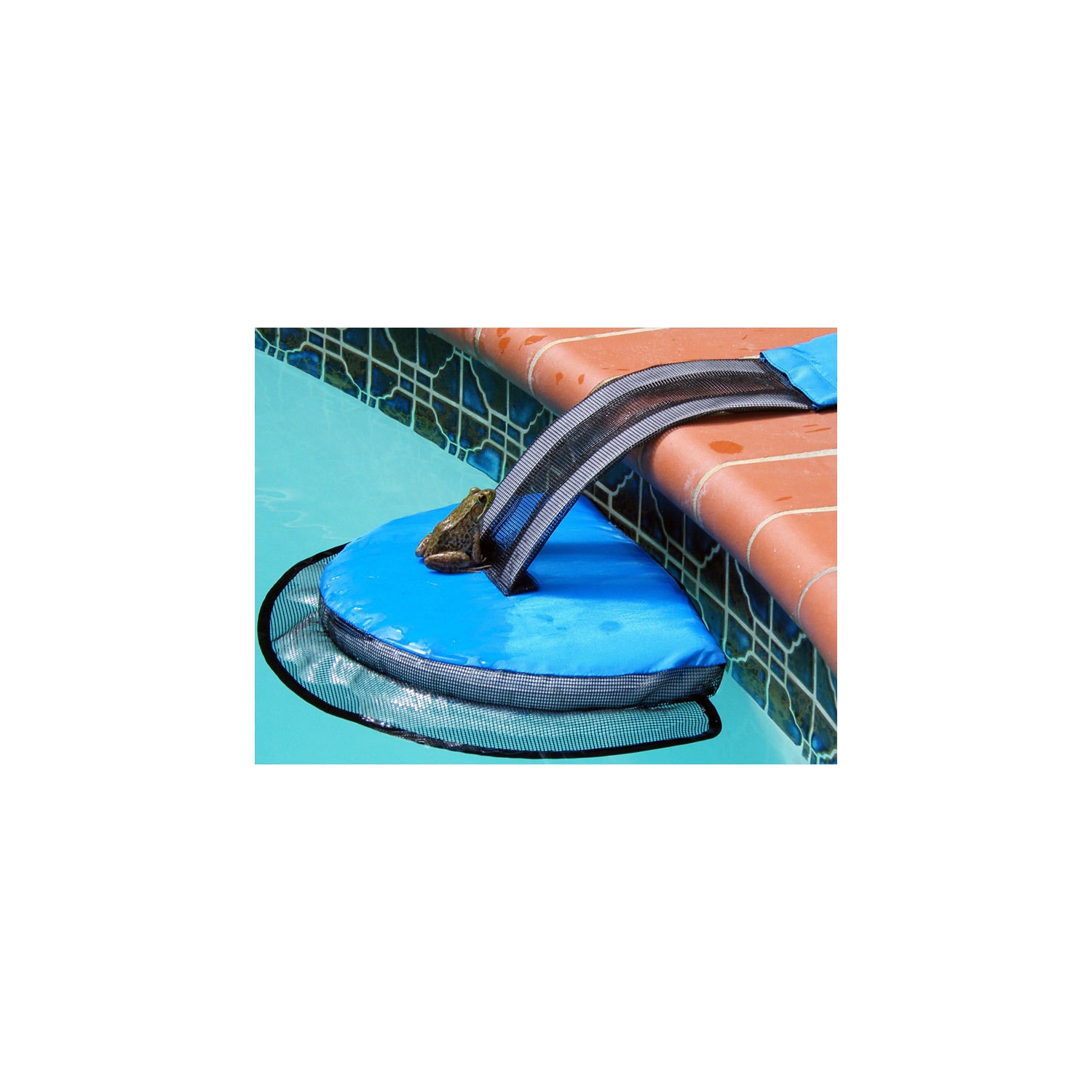 Rampe d'évasion pour piscine bleue et noire de 25,5-po