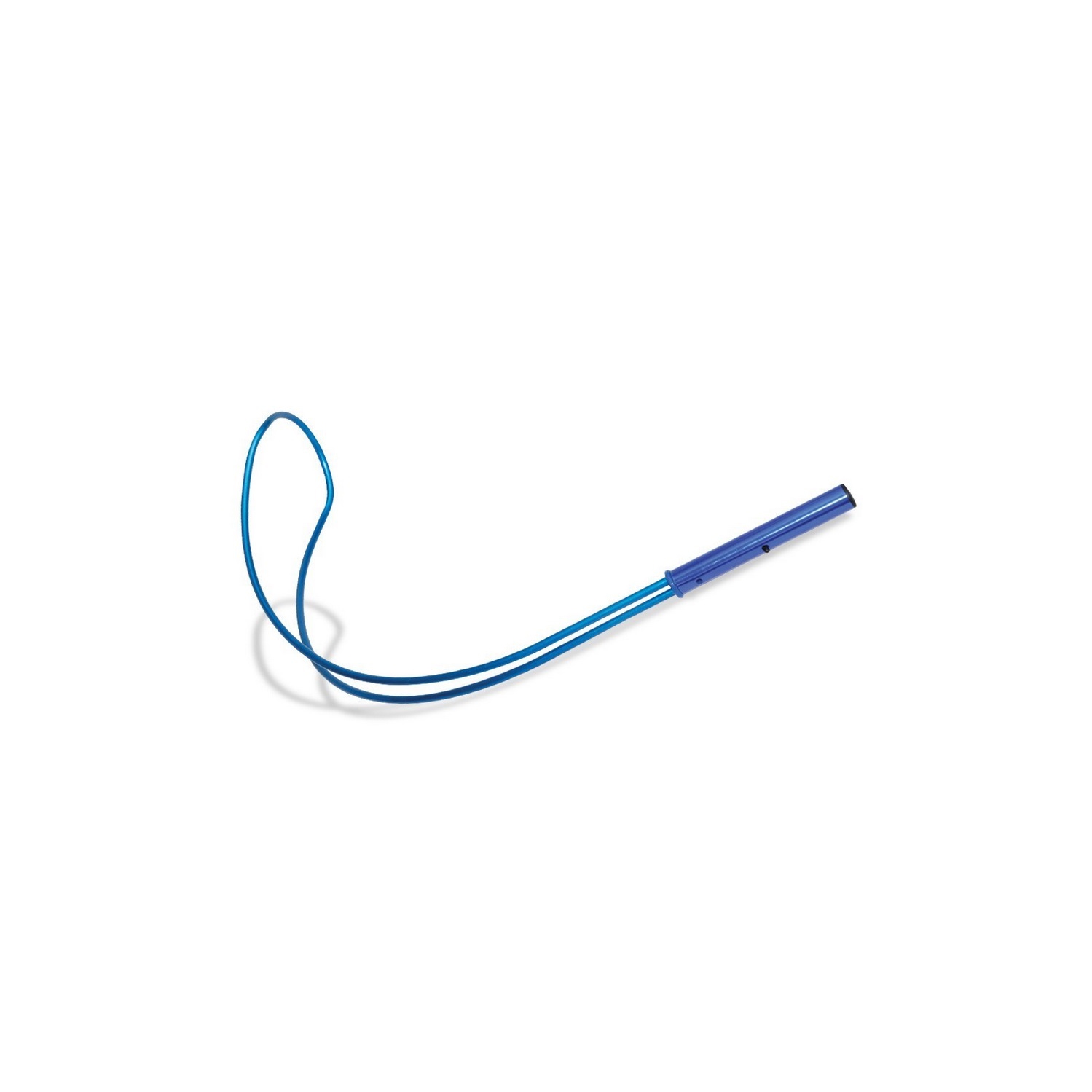 Crochet de sécurité pour Shepherd de 32 po Blue Hydrotools pour piscine