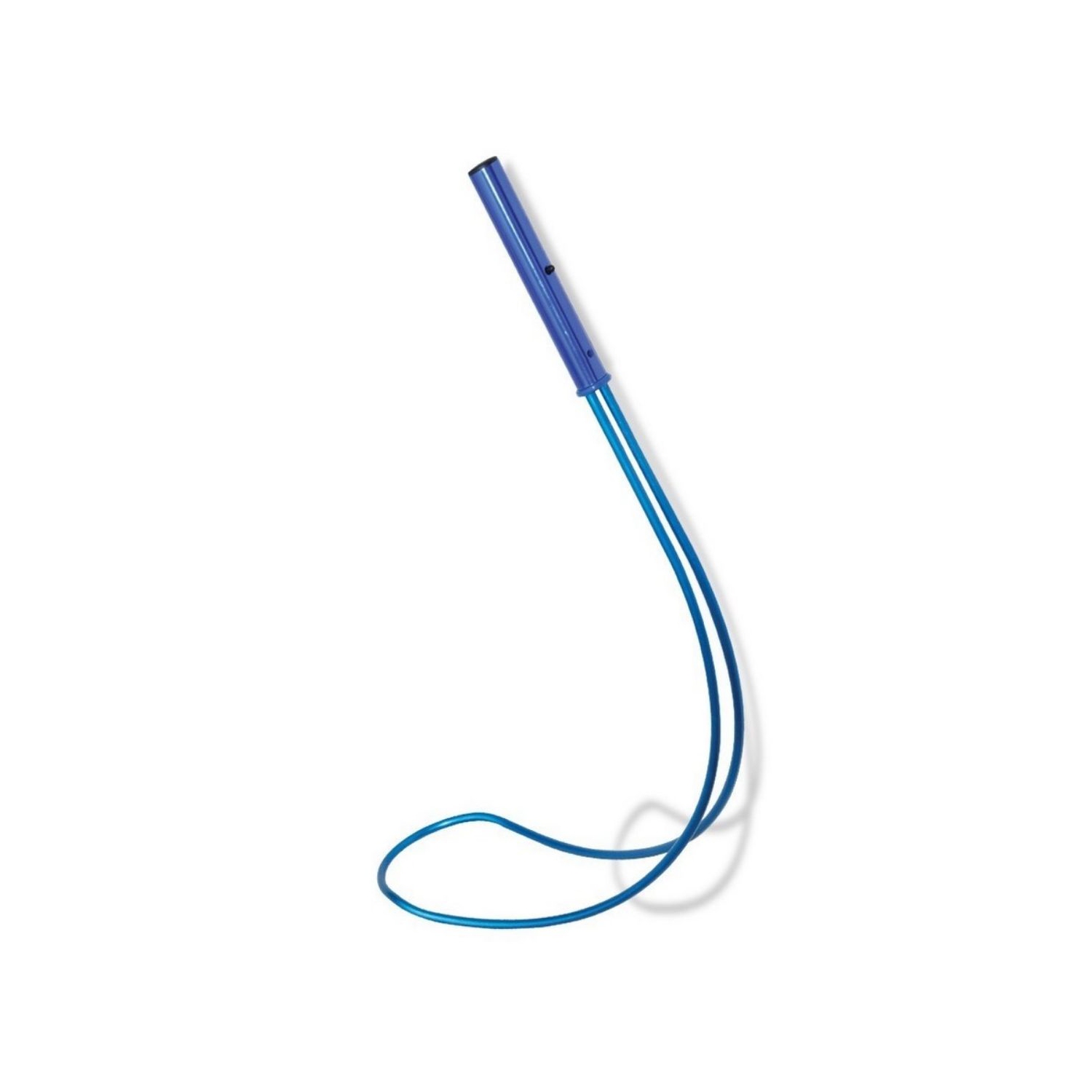 Crochet de sécurité pour Shepherd de 32 po Blue Hydrotools pour piscine