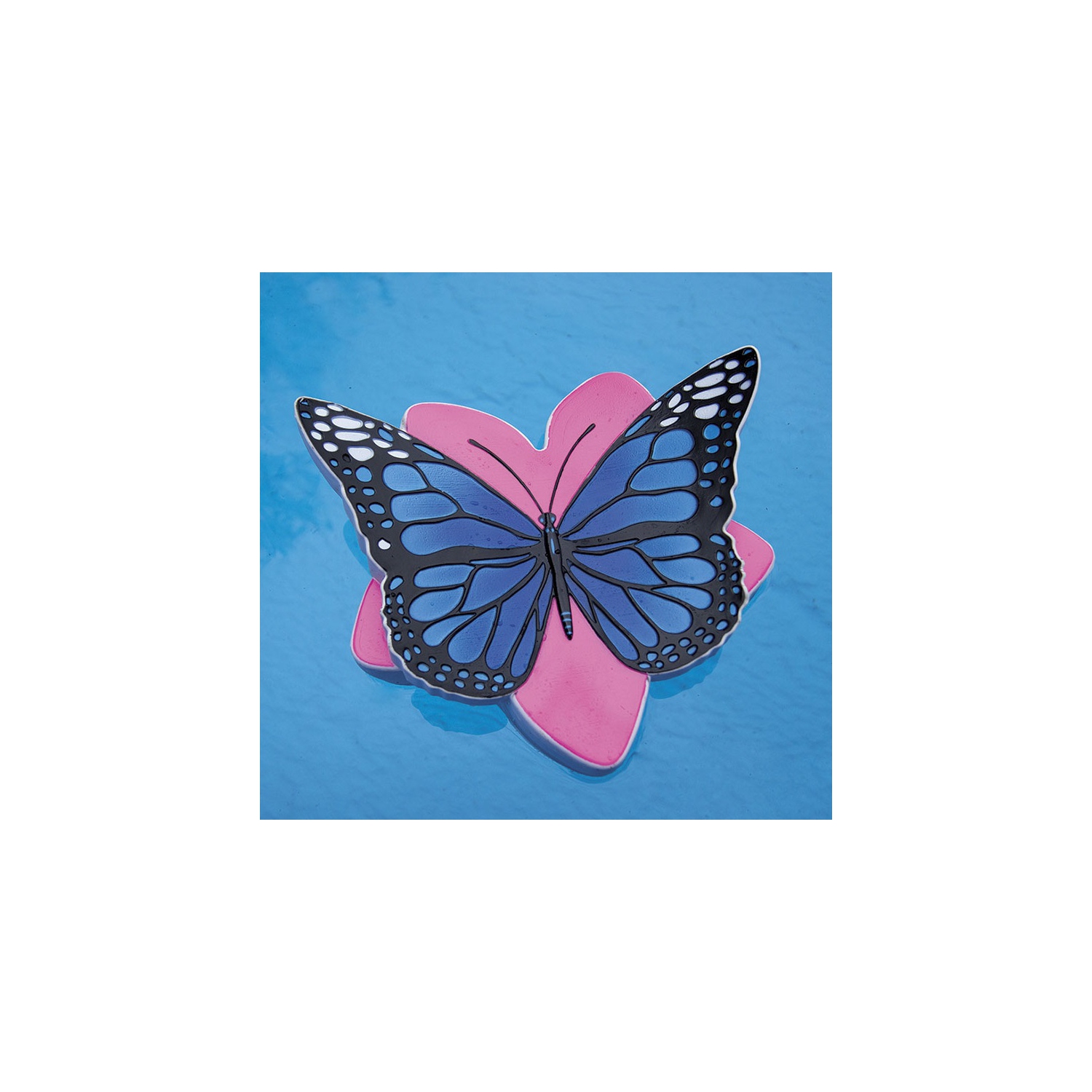 Distributeur de chlore flottant pour piscine papillon bleu et rose