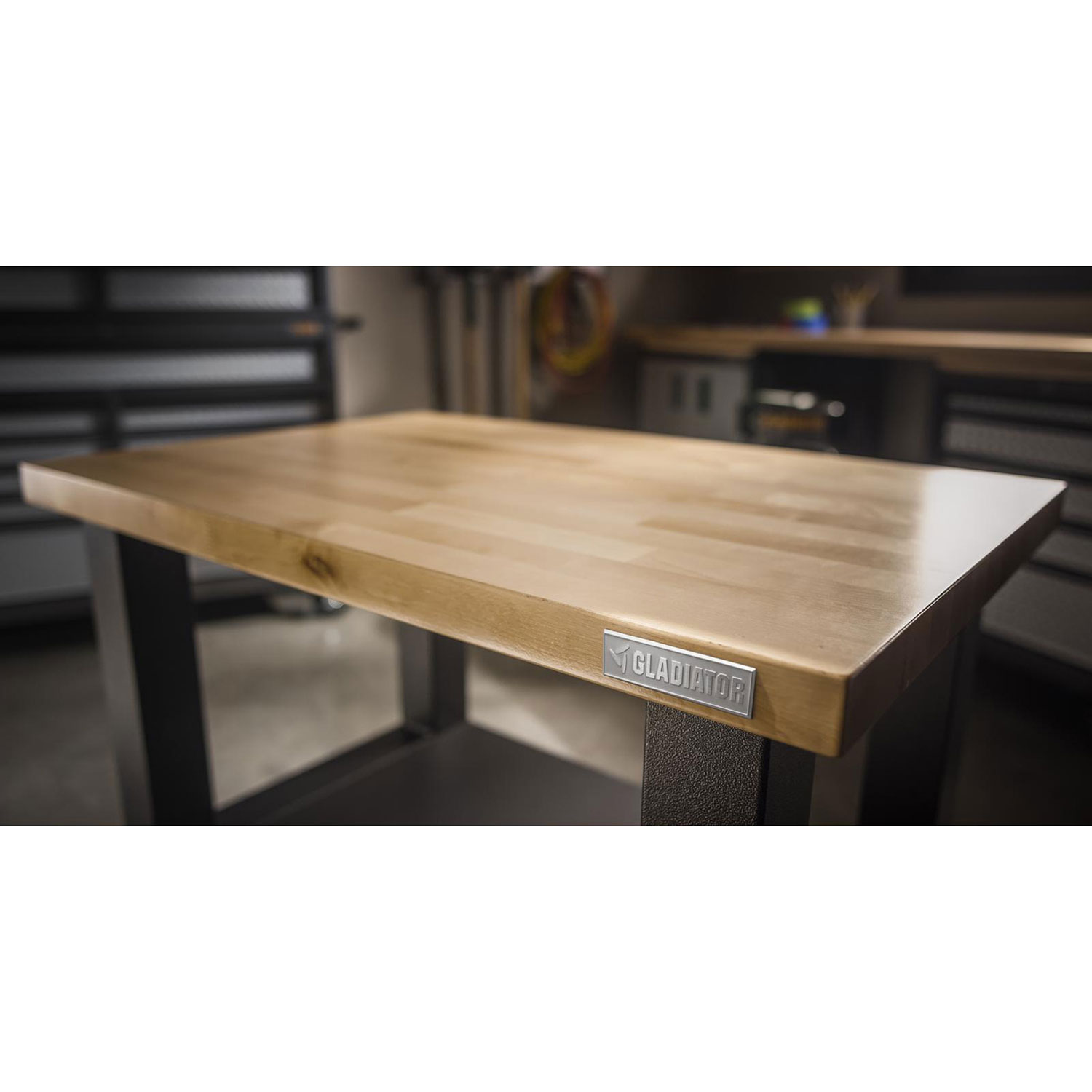 Gladiator Wall GearBox Steel Cabinet - Grey Slate