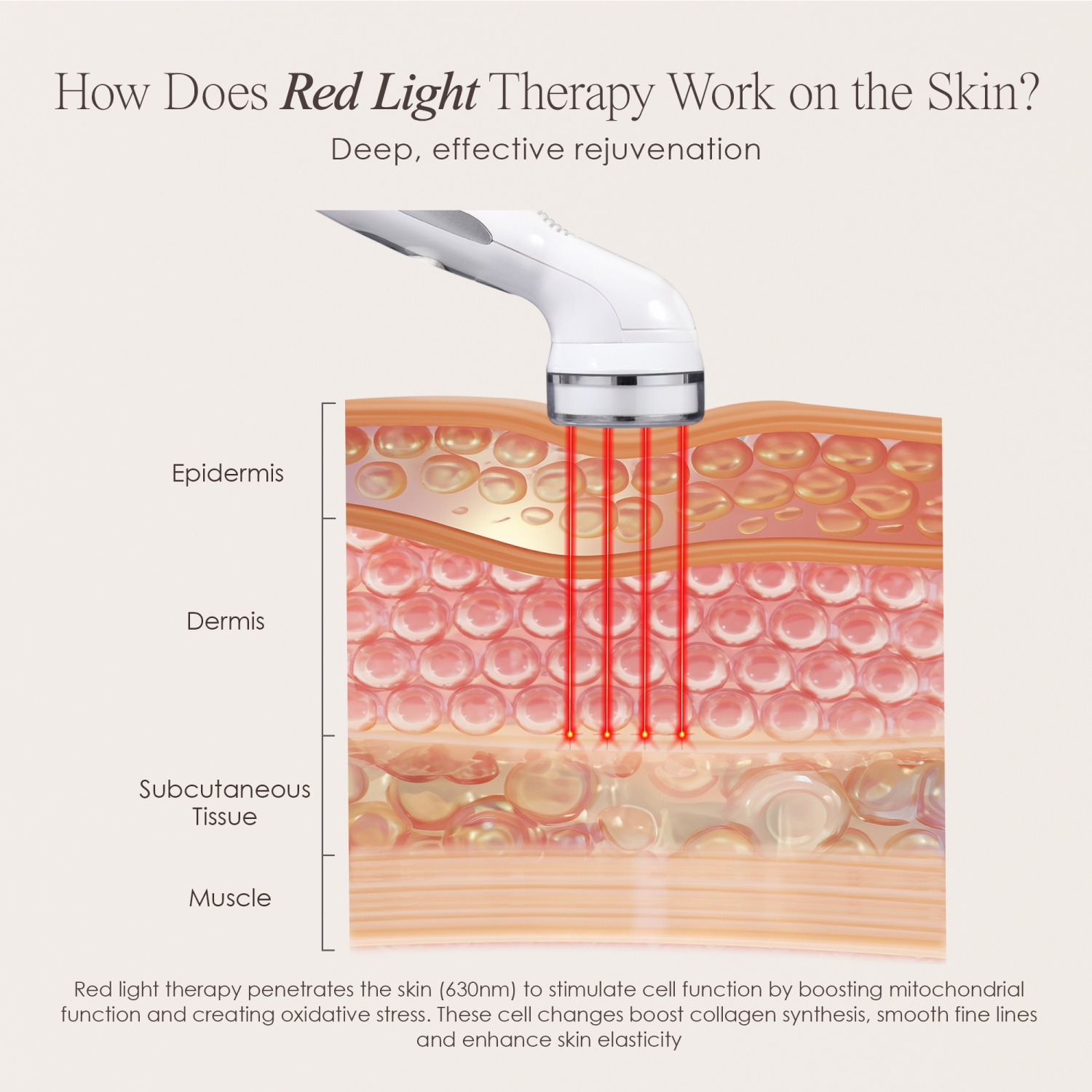 Project E Beauty Red Light LED+ | Anti-Aging Therapy | Collagen Boost | Anti-Aging Skincare | Reduce Wrinkles | Collagen Boost