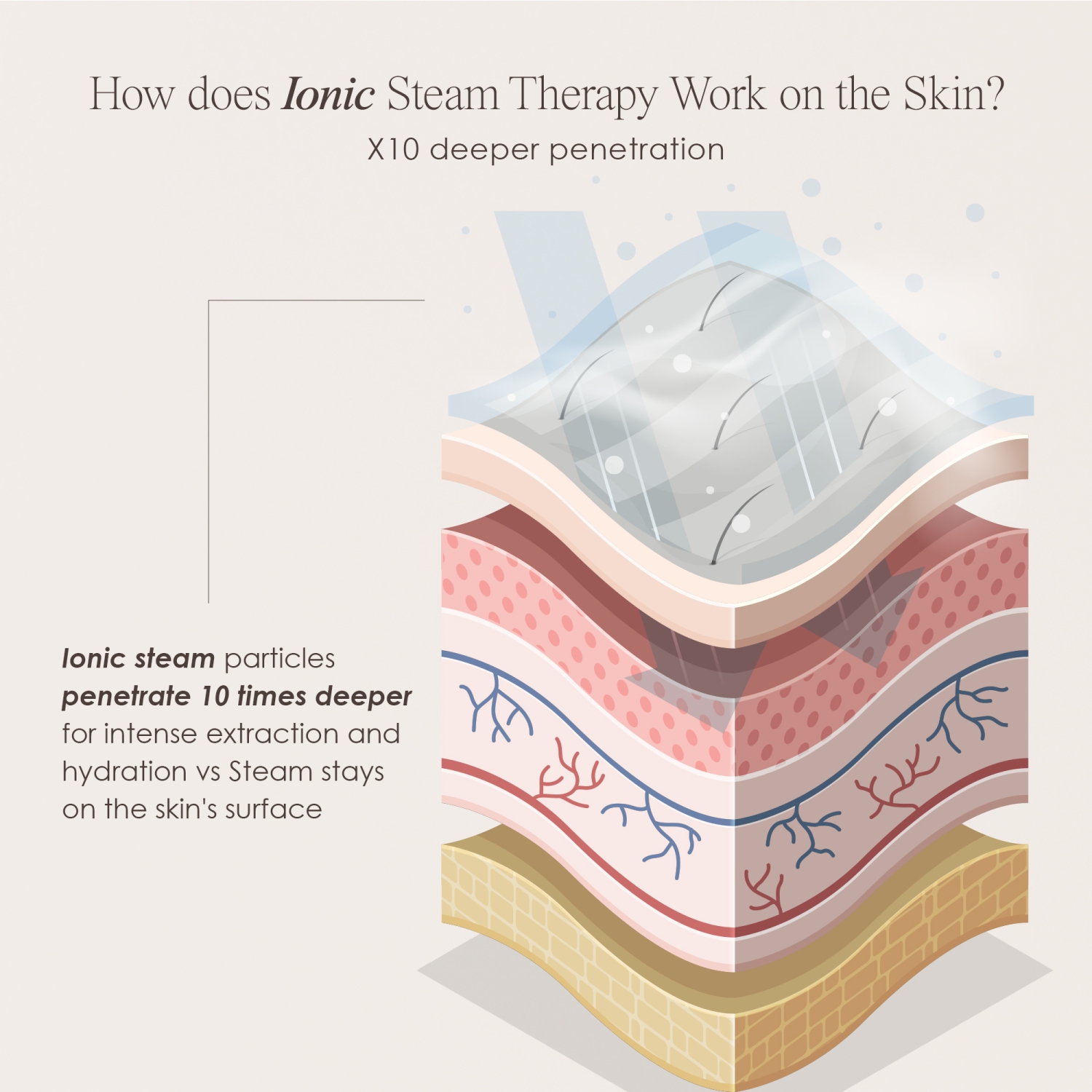 Project E Beauty Sensa Nano Ionic Facial Steamer | Pore Cleansing | Detoxify & Clarify | Moisturize & Hydrate | Aromatherapy