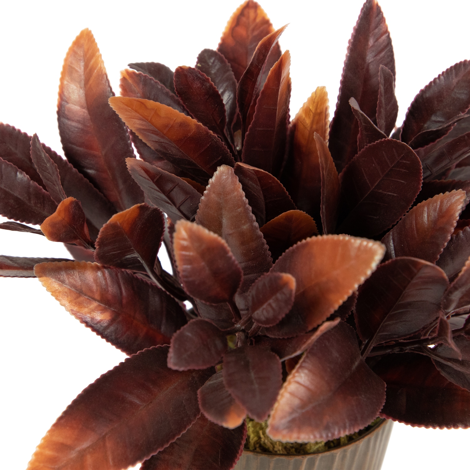 Two-Tone Artificial Foliage Plant in a Textured Lined Pot - 8"