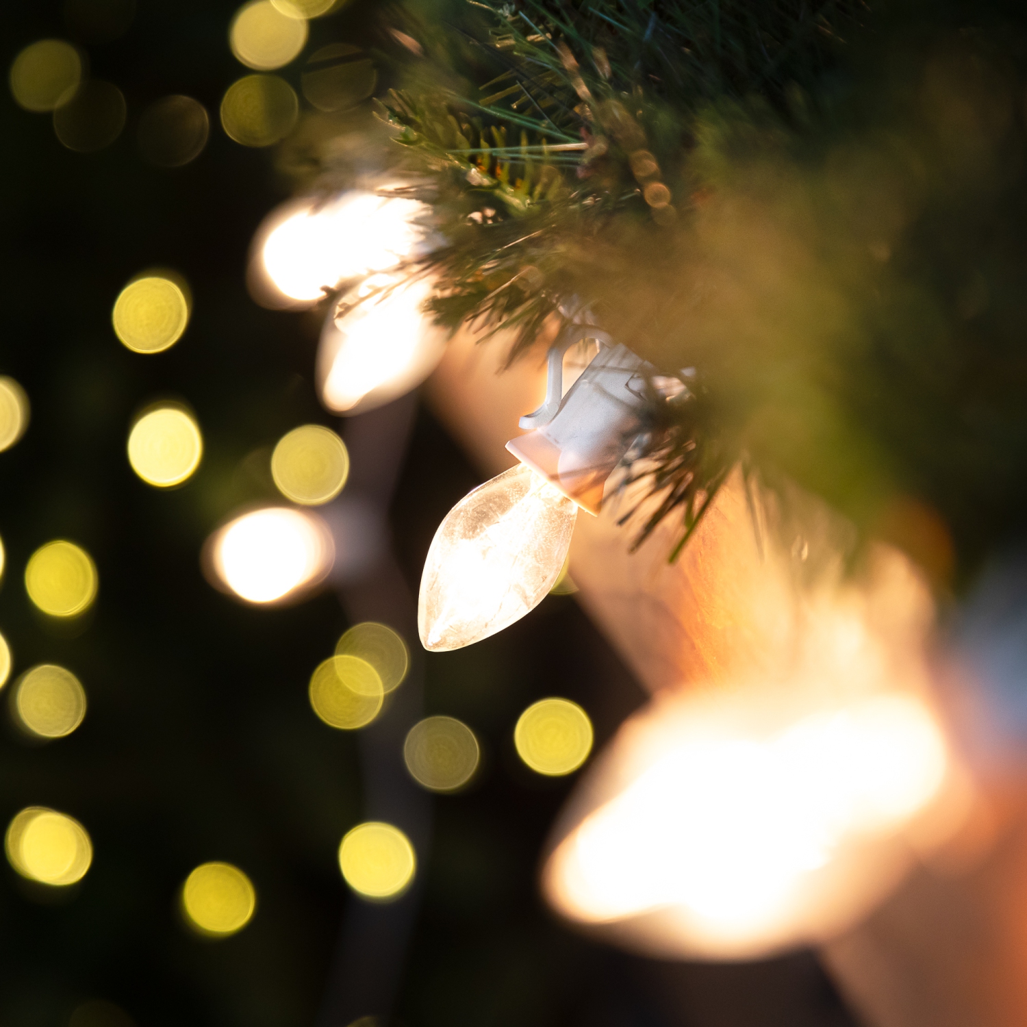 C7 Christmas String Lights - Clear - 24' White Wire - 25ct