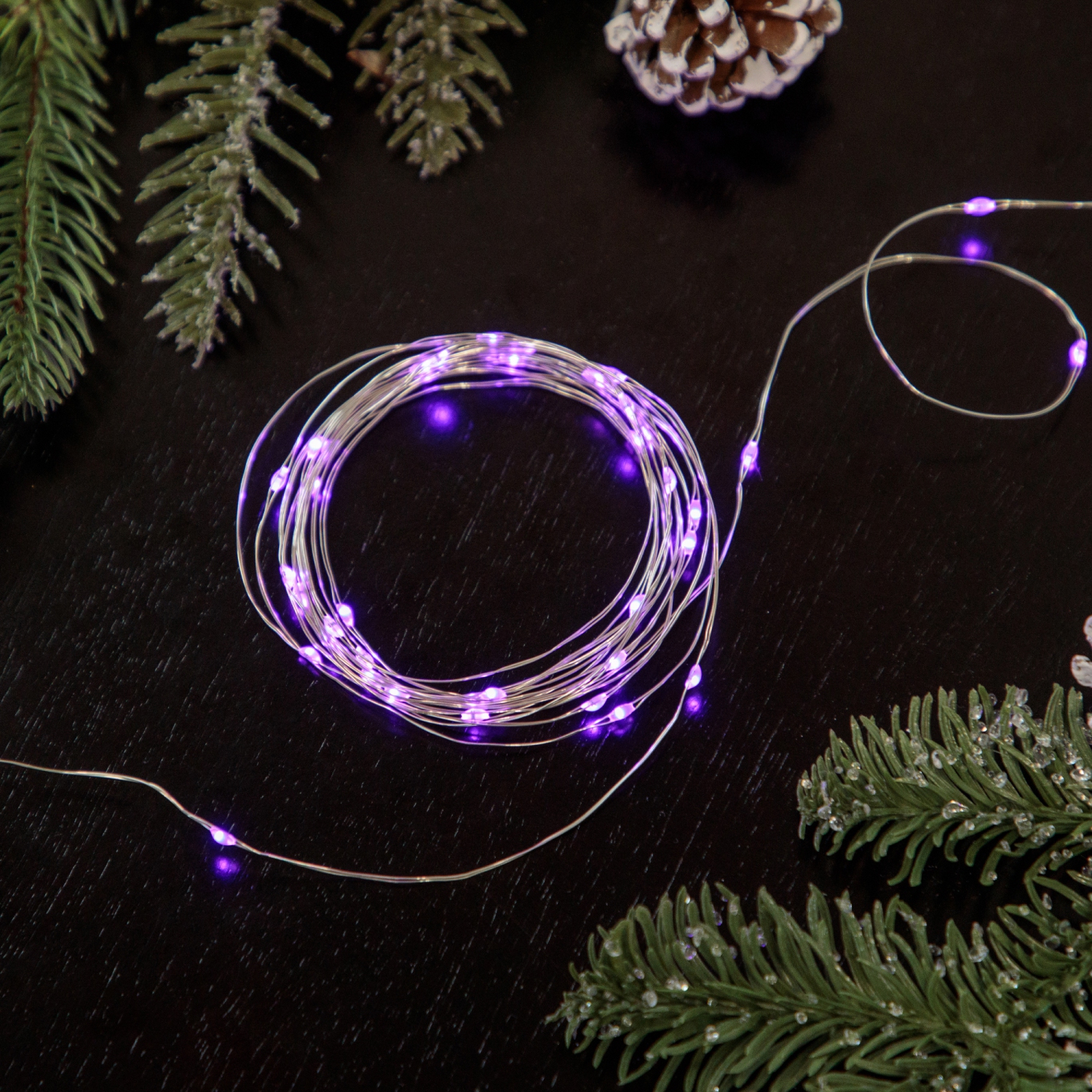 Lumières de Noël en micro-fées de LED - Violet - Fil de cuivre 6&nbsp;pi - 20 ct