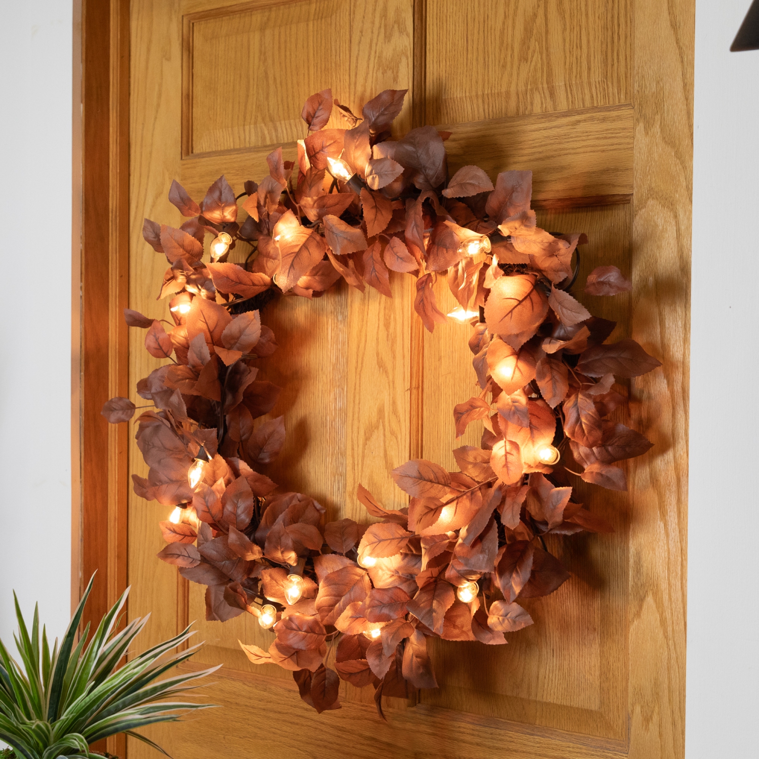Guirlande de lumières de Noël C7 – Transparent – Câble brun de 24 pi – Paquet de 25