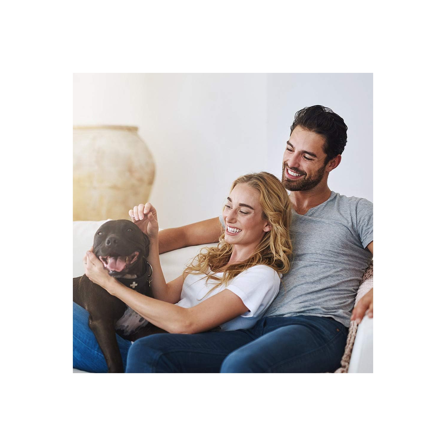 Pet Stroller 4 Wheels Posh Folding Waterproof Portable Travel Cat Dog Stroller with Cup Holder