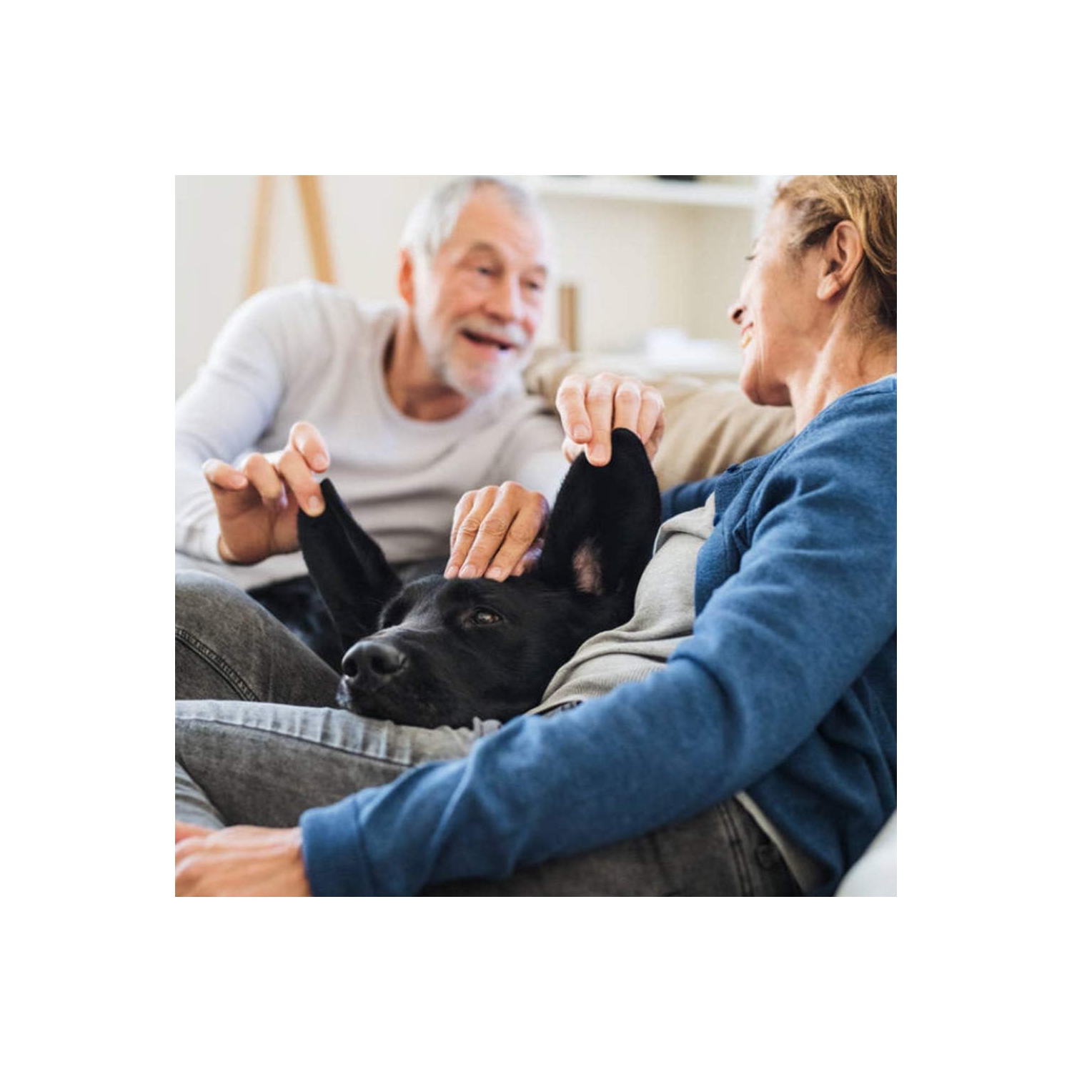 Pet Stroller 4 Wheels Posh Folding Waterproof Portable Travel Cat Dog Stroller with Cup Holder