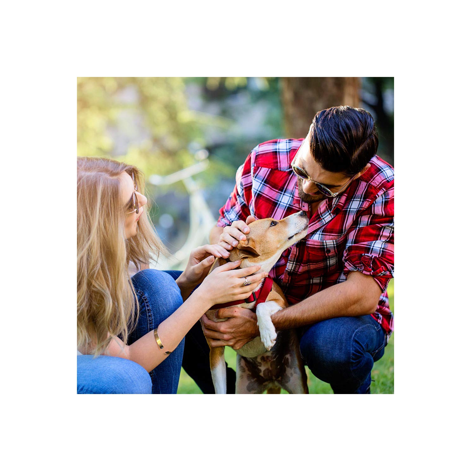 Poussette pour animal de compagnie 4 roues poussette pliante pour chien de voyage étanche Posh avec porte-gobelet