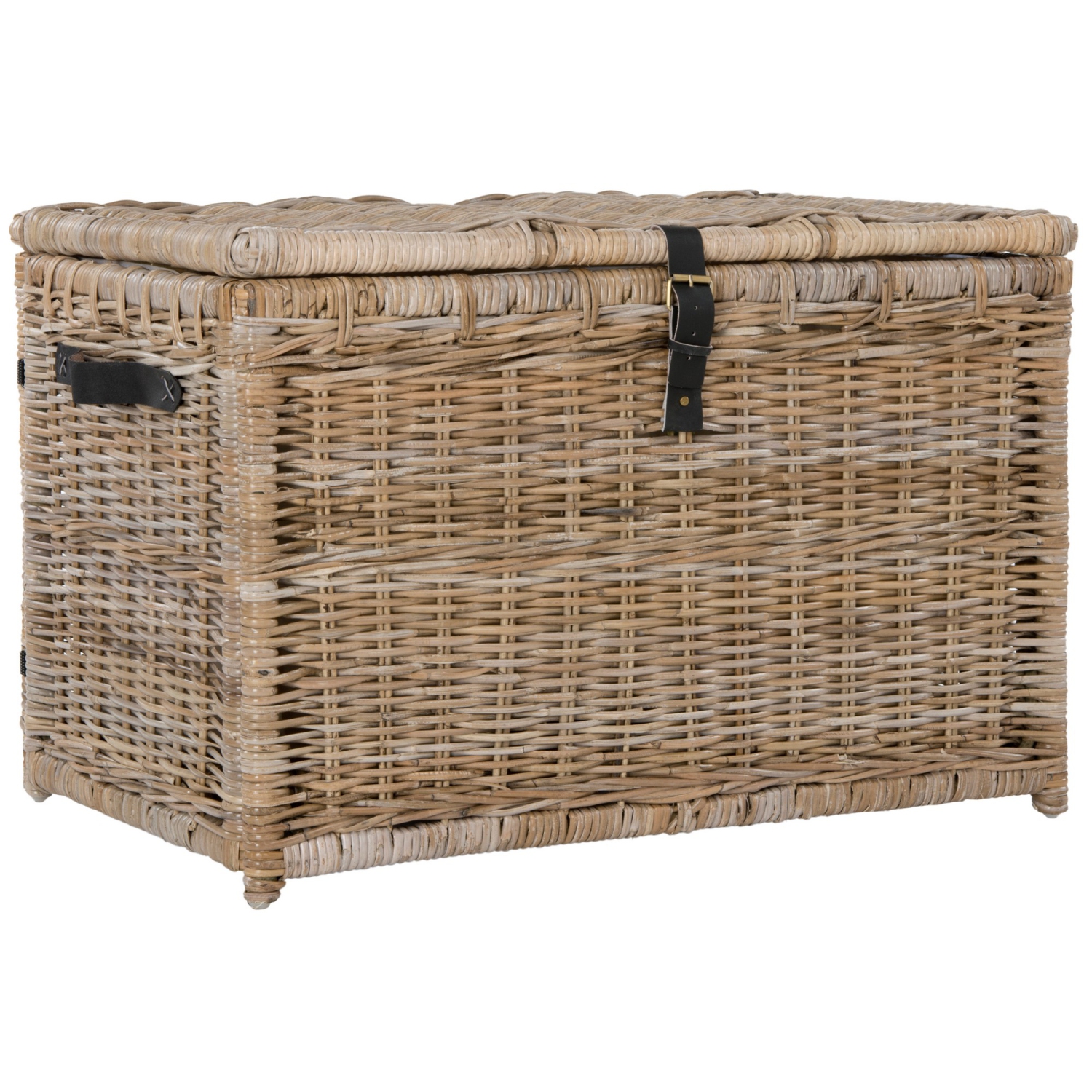 Michael Wicker Storage Trunk
