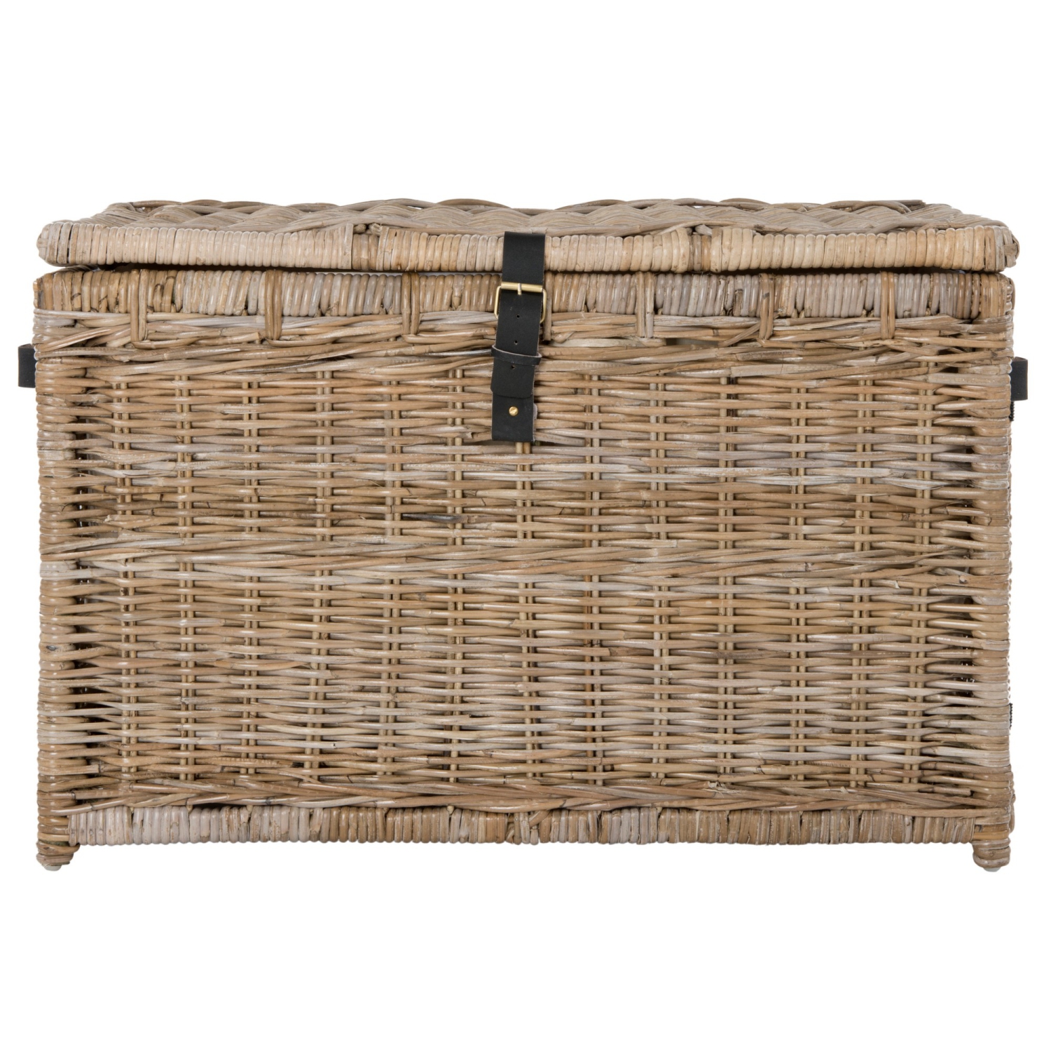 Michael Wicker Storage Trunk