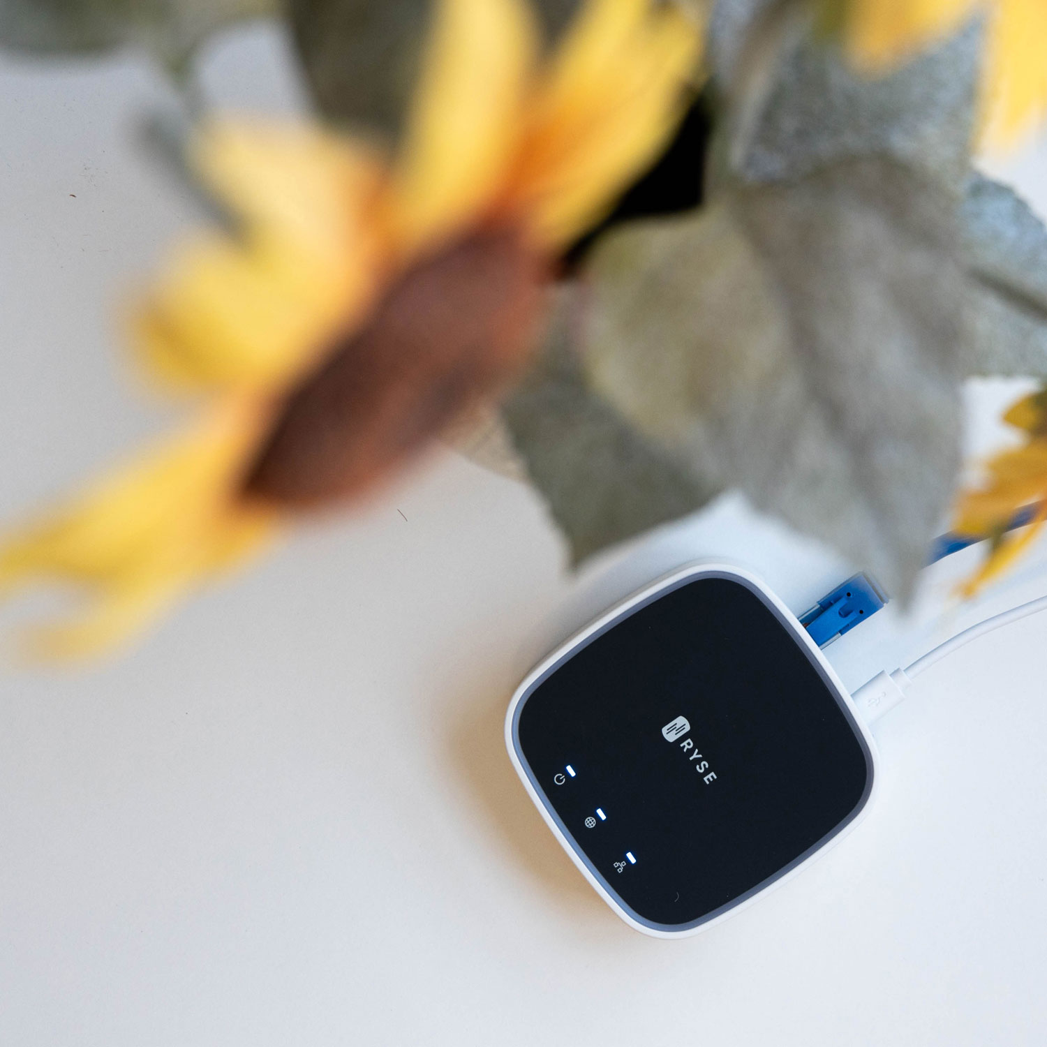 RYSE SmartBridge Smart Hub For Window Shade Motor - White