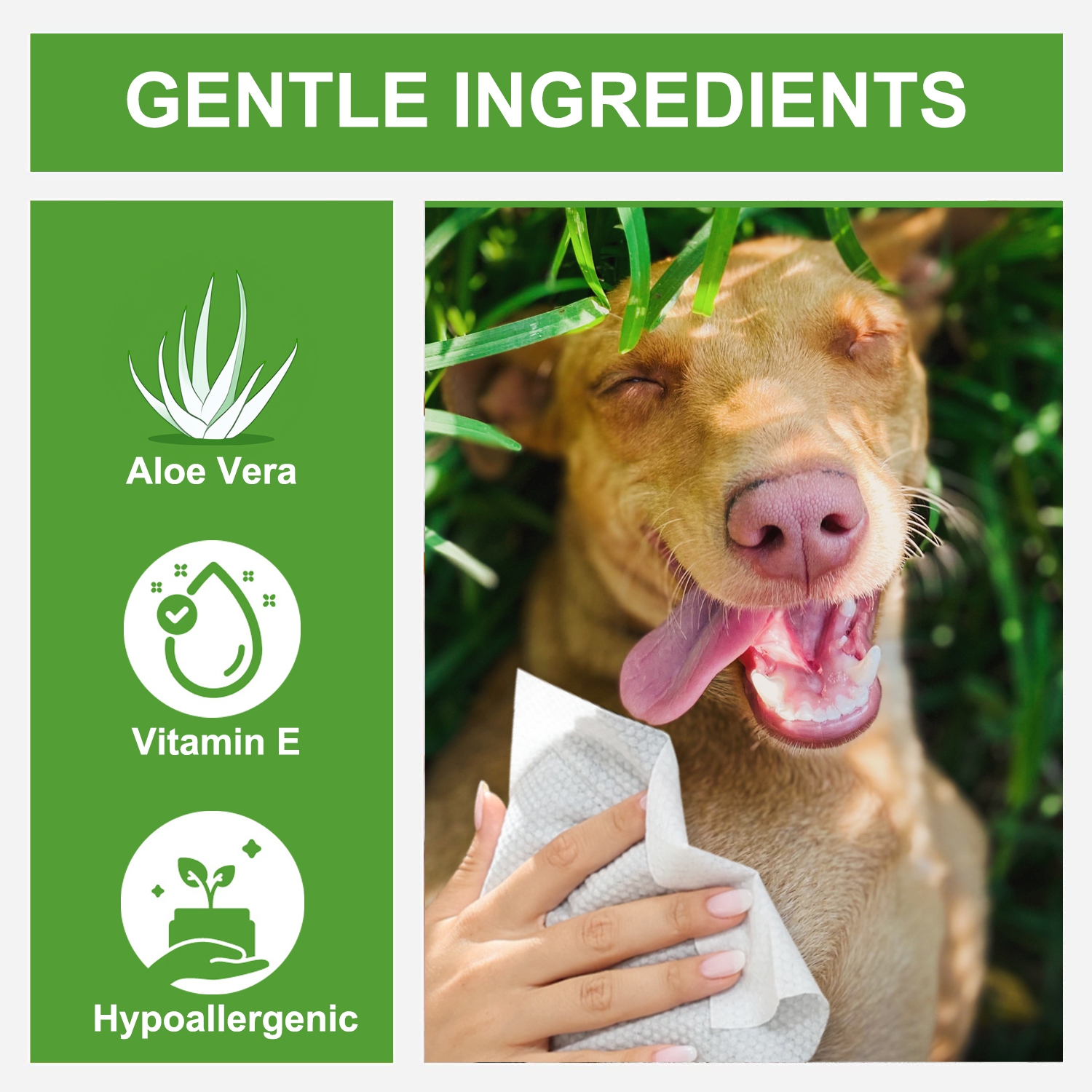 VIETDAI WIPES 80 Dog Grooming Wipes