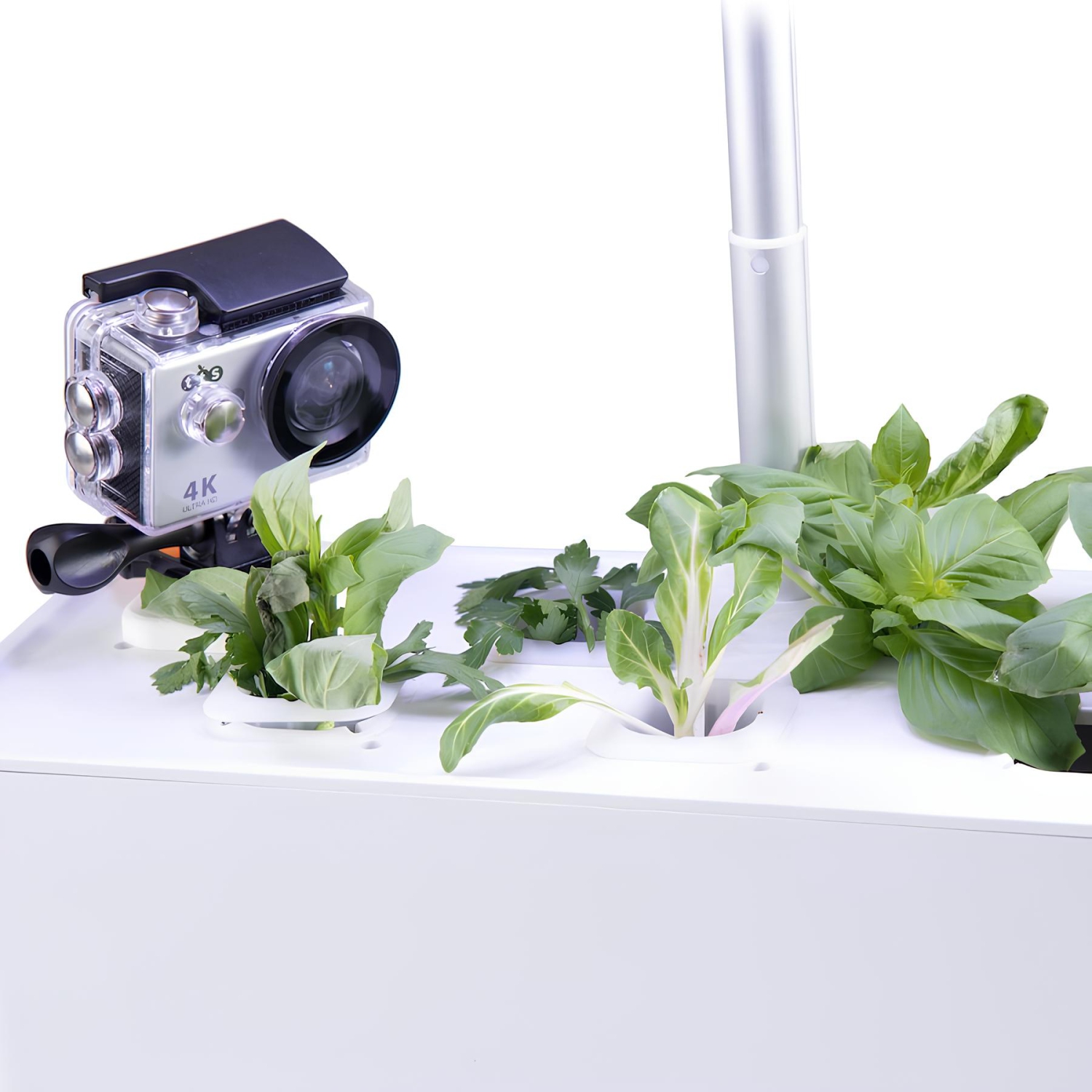 TTS Camera Mount for Hydroponic Garden System, Perfect for Educational Classroom Gardening Teaching and Learning Materials for Ages 3+ Years