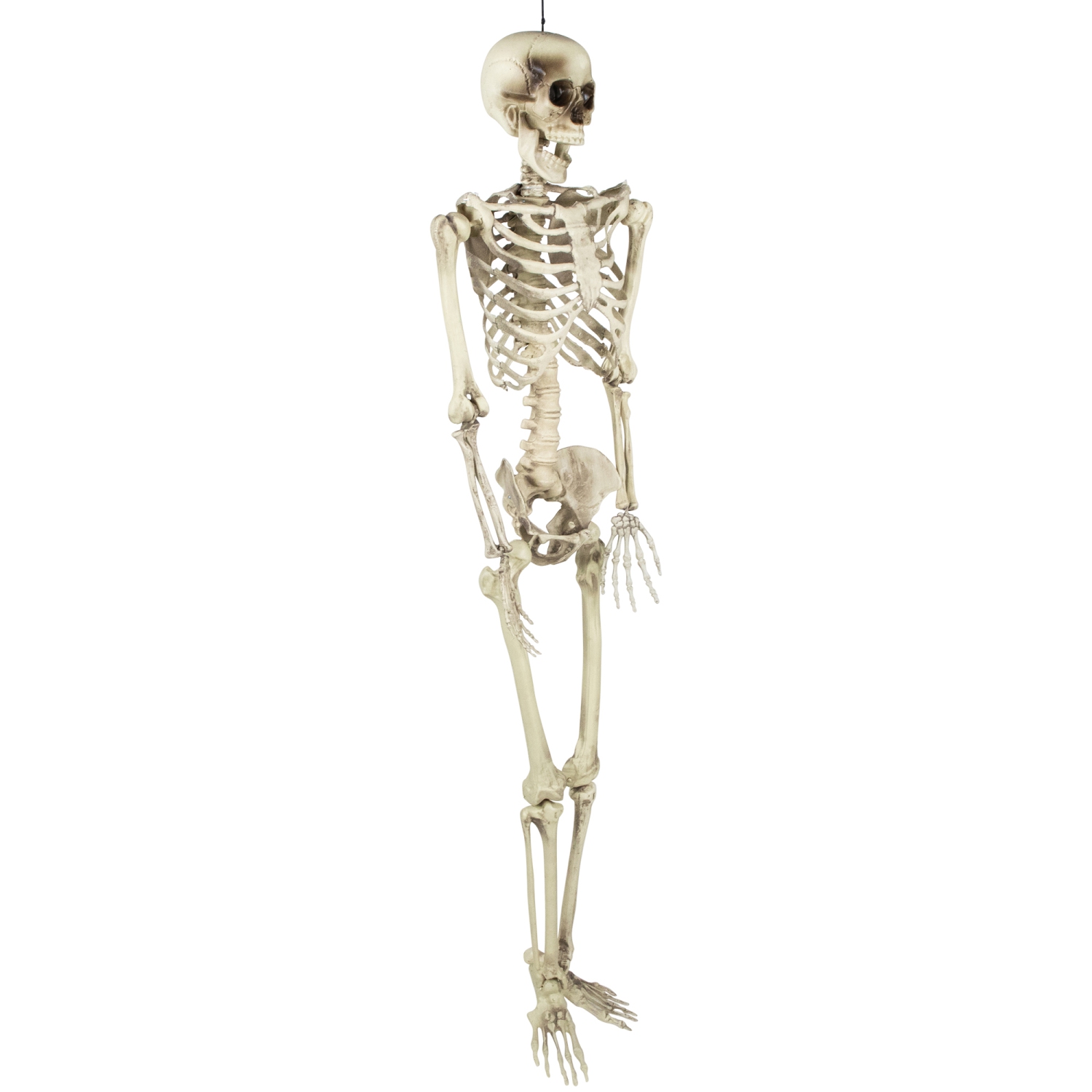 Life Size Skeleton Halloween Hanging Decoration - 5'
