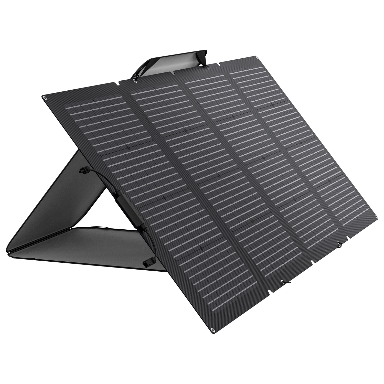EcoFlow RIVER 2 Portable Power Station & 220 Watts Solar Panel Bundle