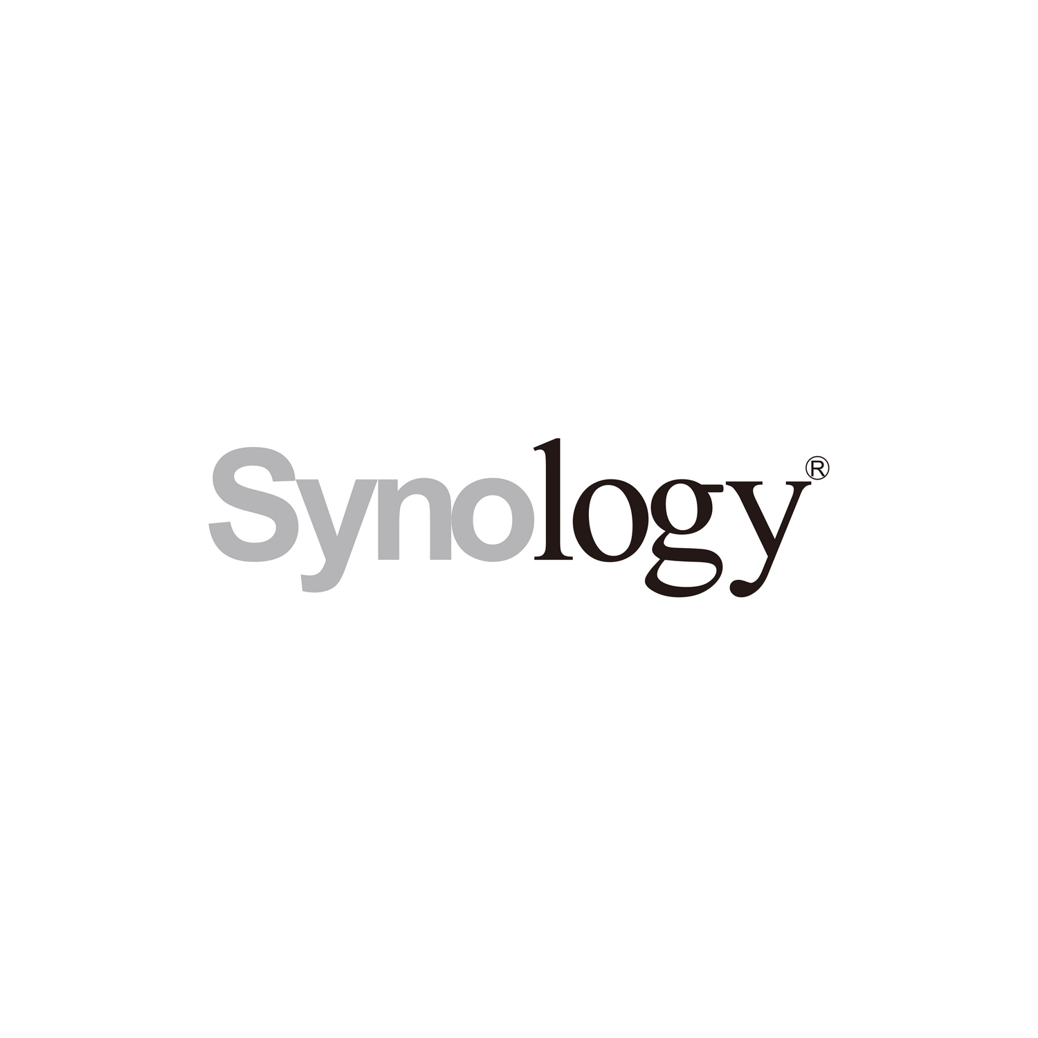 Synology 16GB DDR4 SDRAM Memory Module D4ES01-16G