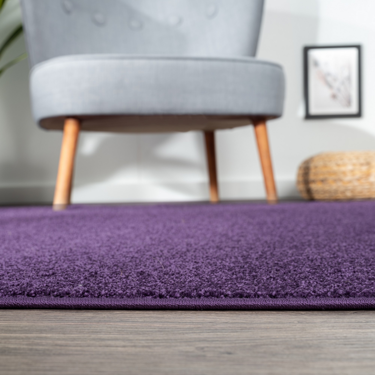 Haze Solid Low Pile Area Rug Purple