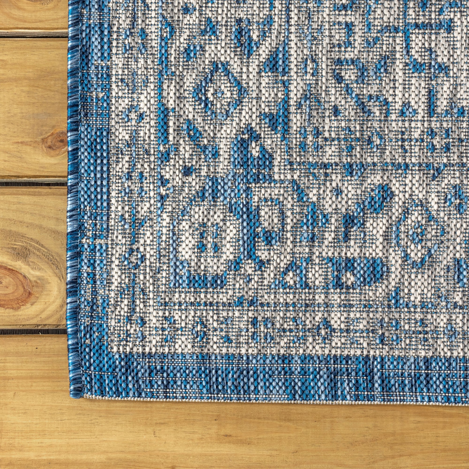 Sinjuri Medallion Textured Weave Indoor/Outdoor Area Rug