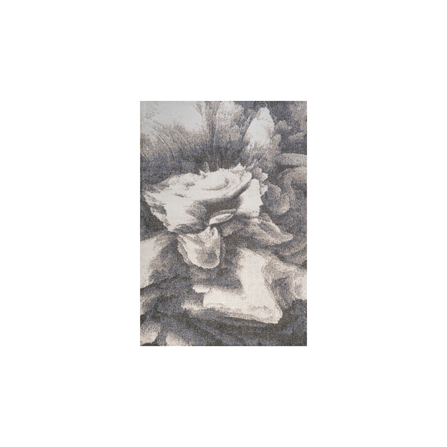 Petalo Abstract Two Tone Modern Area Rug