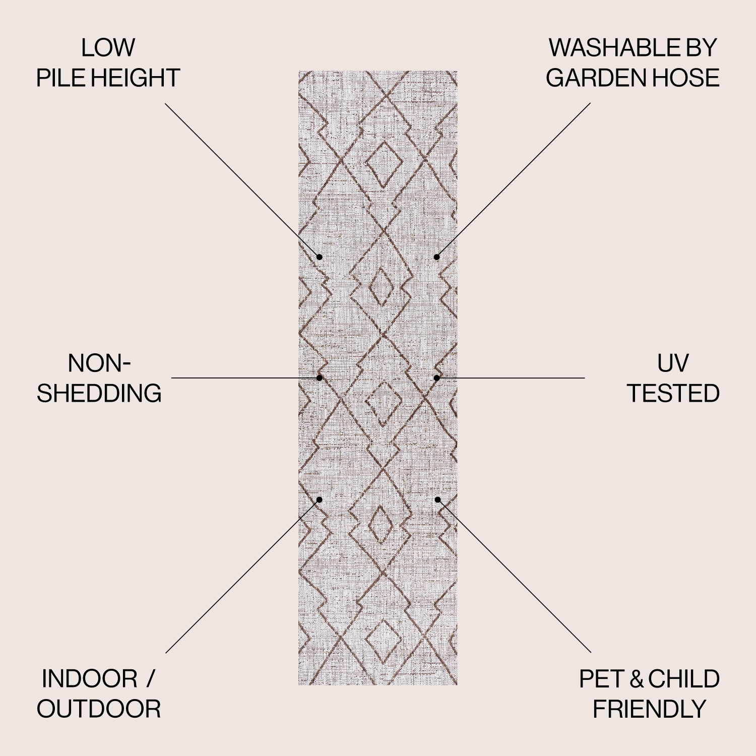 Carwa Tribal Diamond Trellis Indoor/Outdoor Area Rug